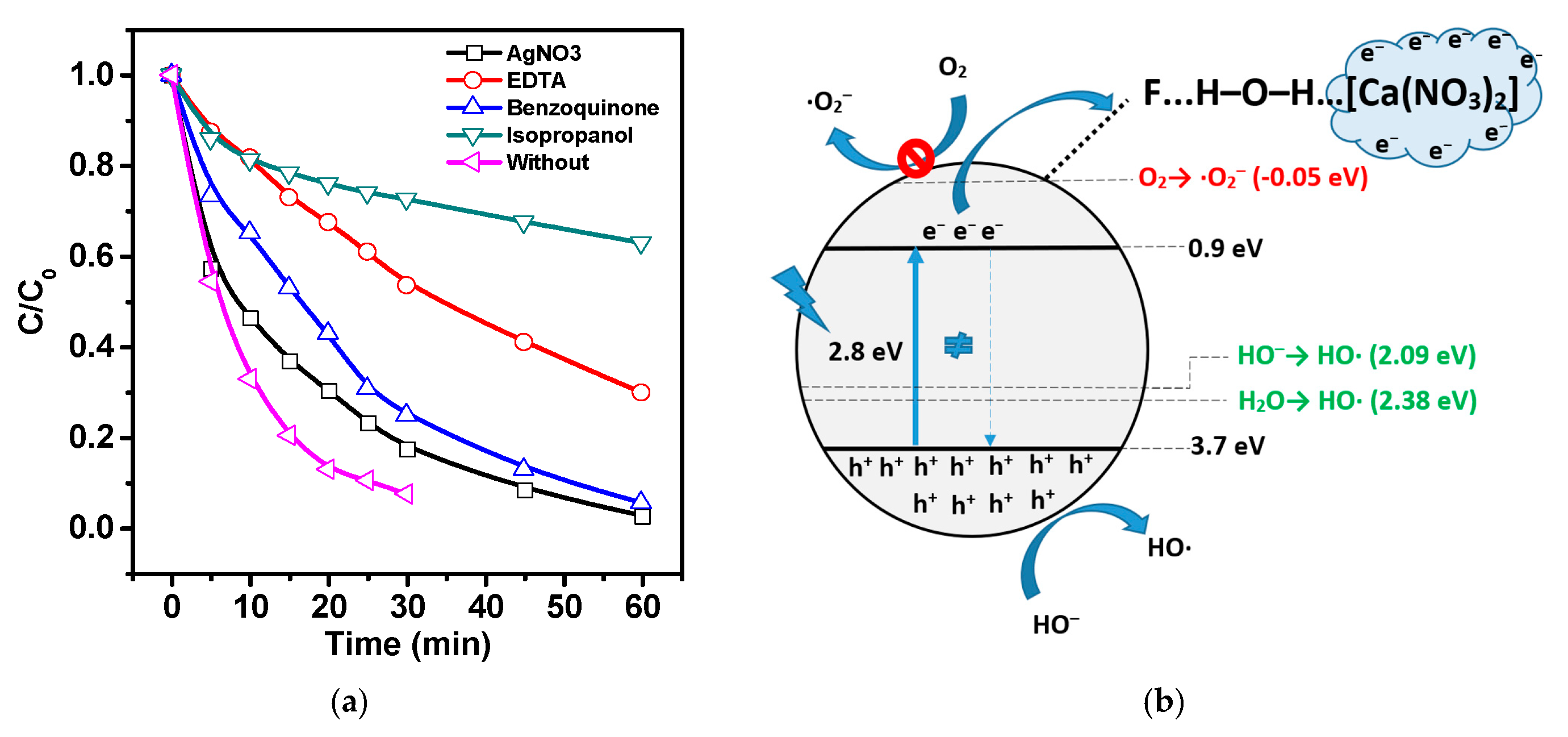 Polymers 15 03252 g010 Polymers 15 03252 g010