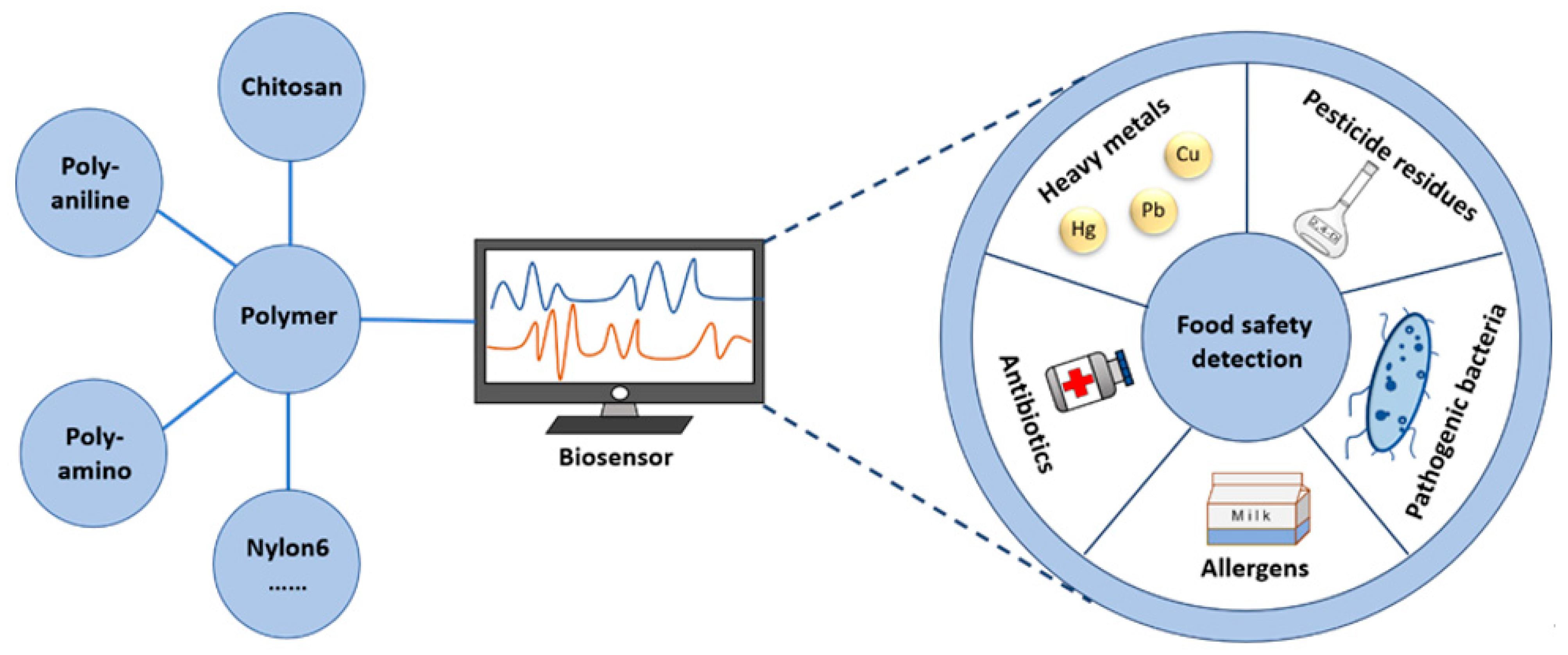Polymers 15 03253 g001