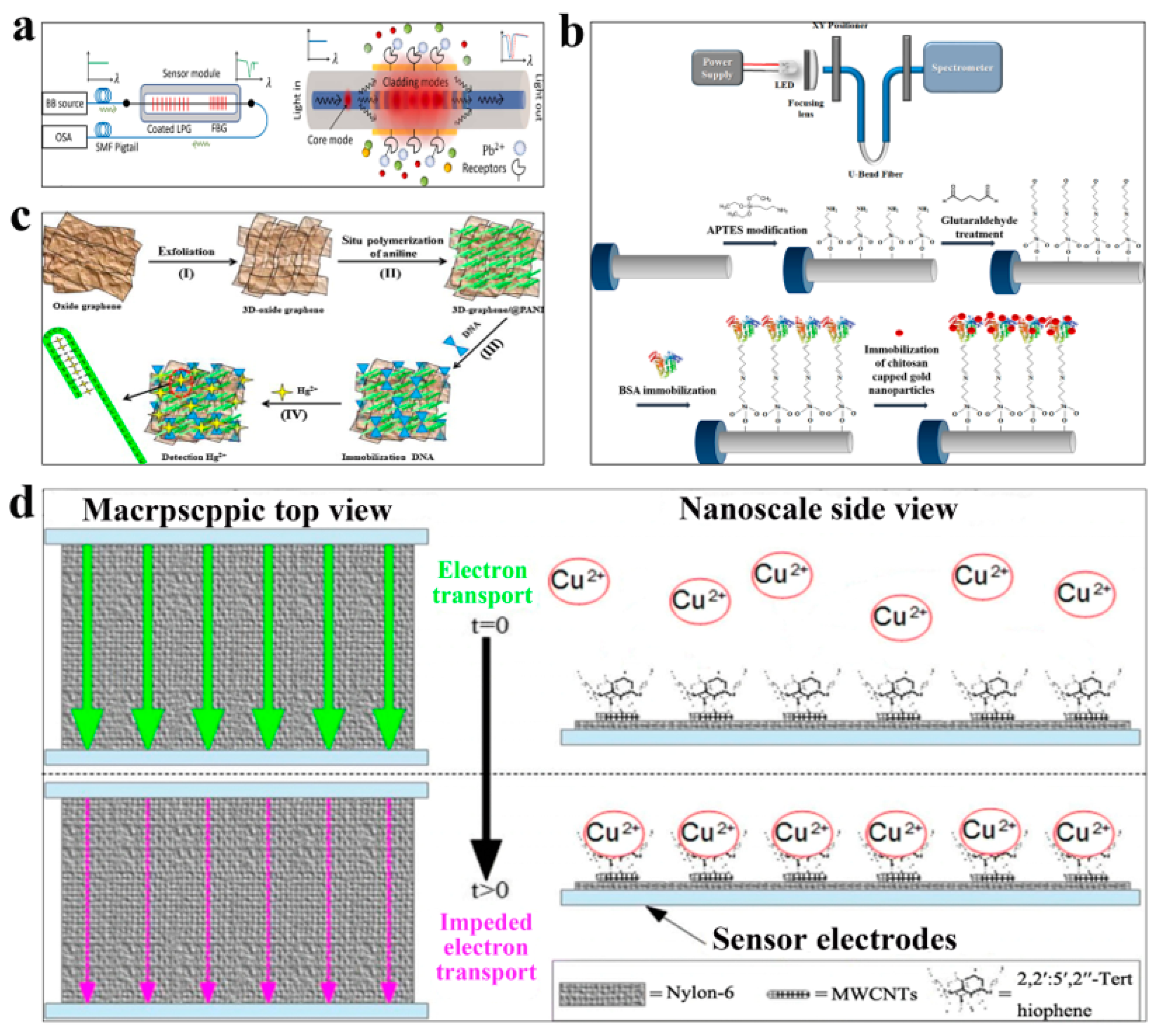 Polymers 15 03253 g002