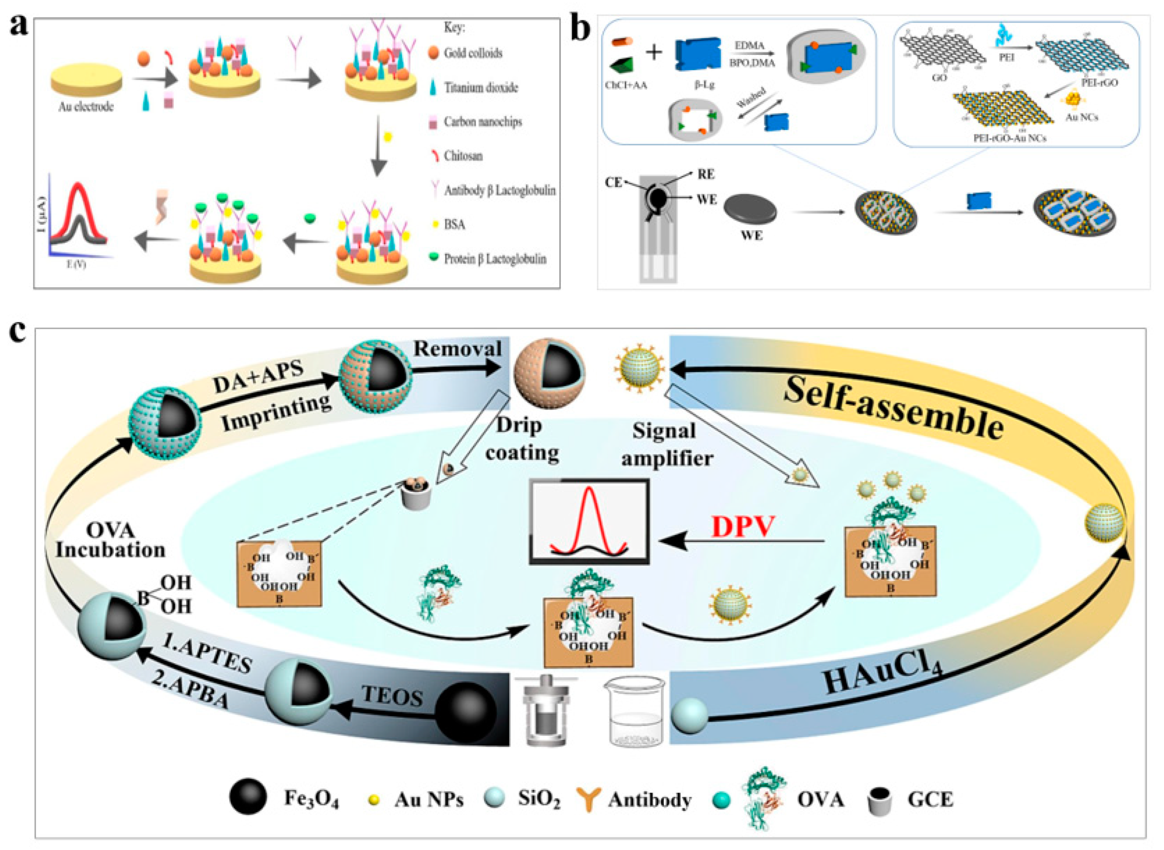 Polymers 15 03253 g005