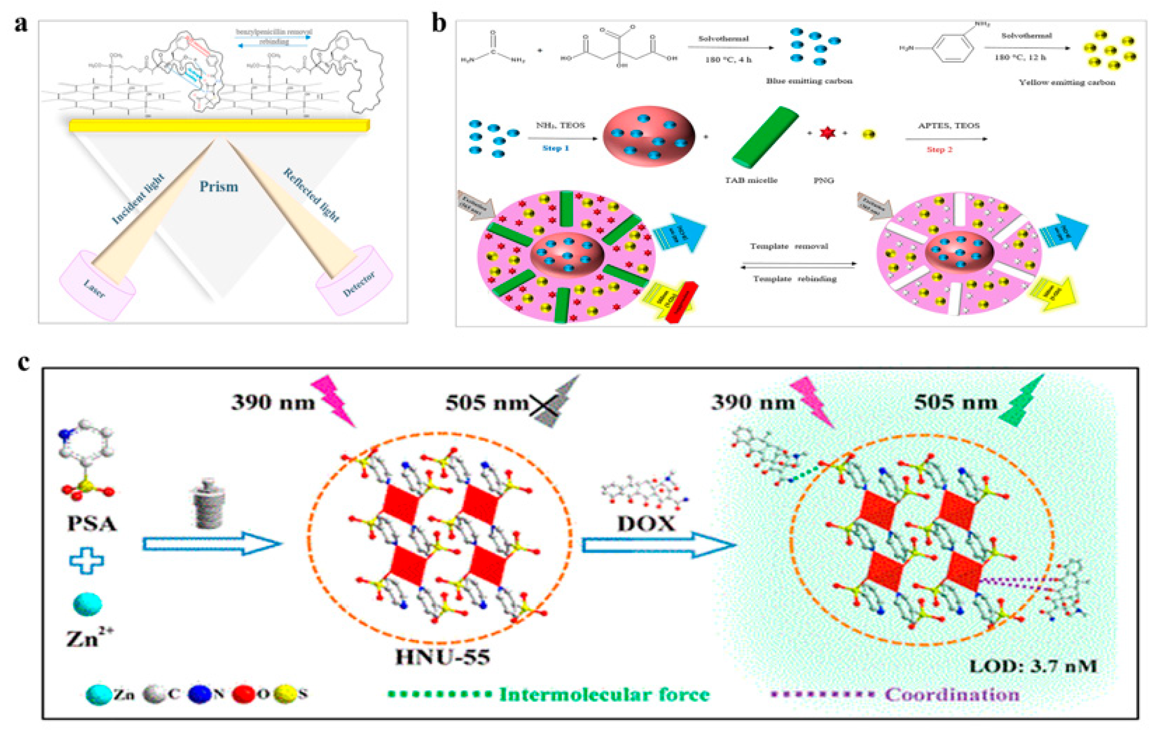 Polymers 15 03253 g006