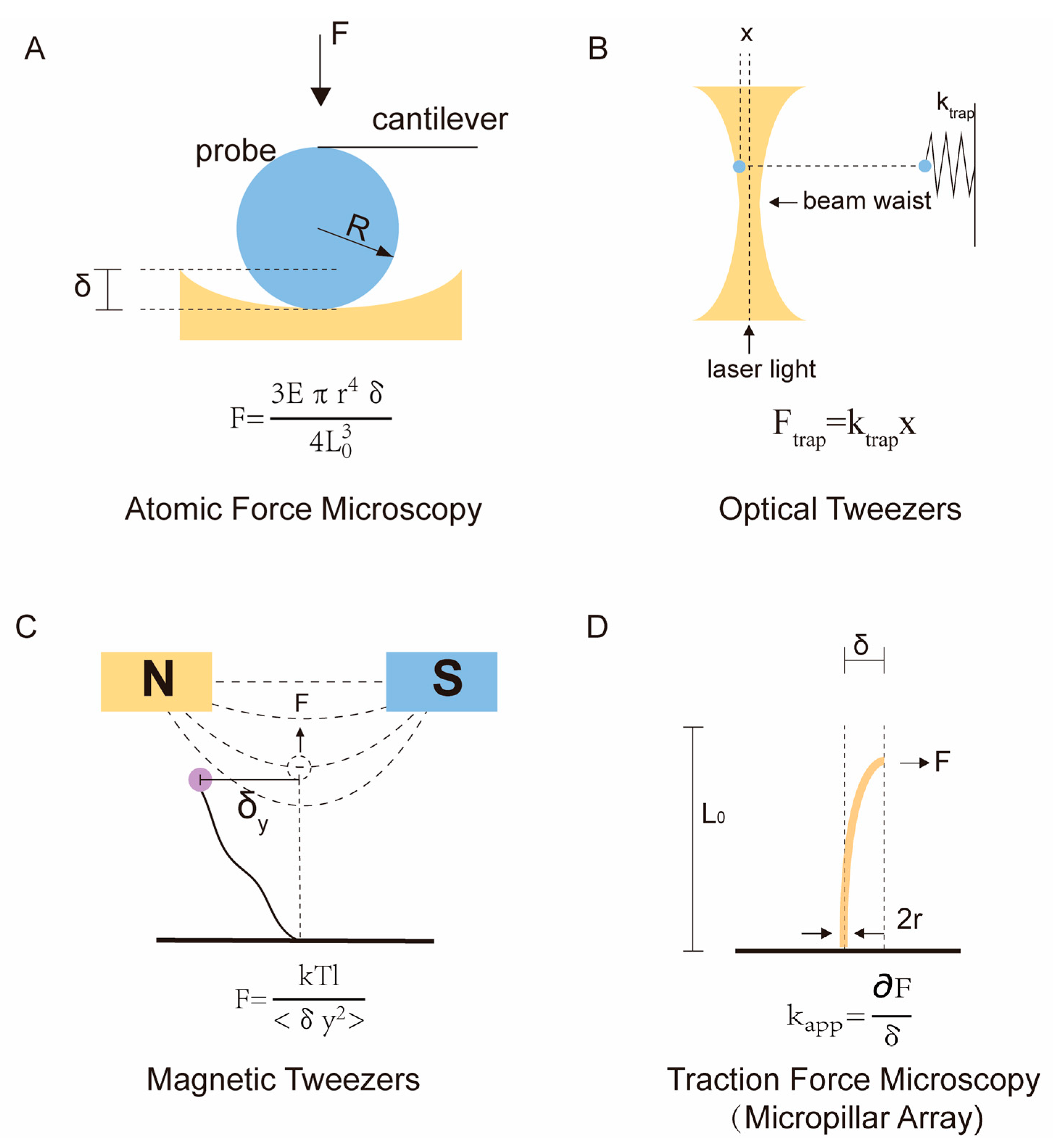Polymers 15 03255 g001