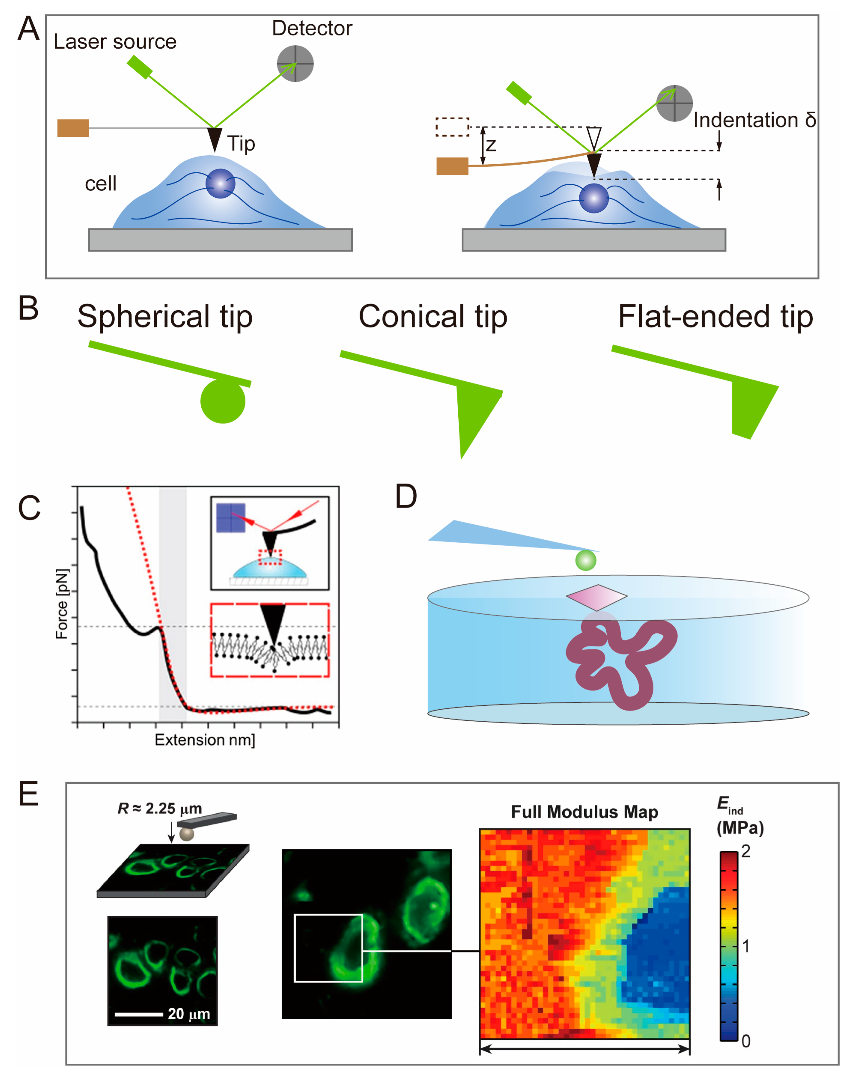 Polymers 15 03255 g002
