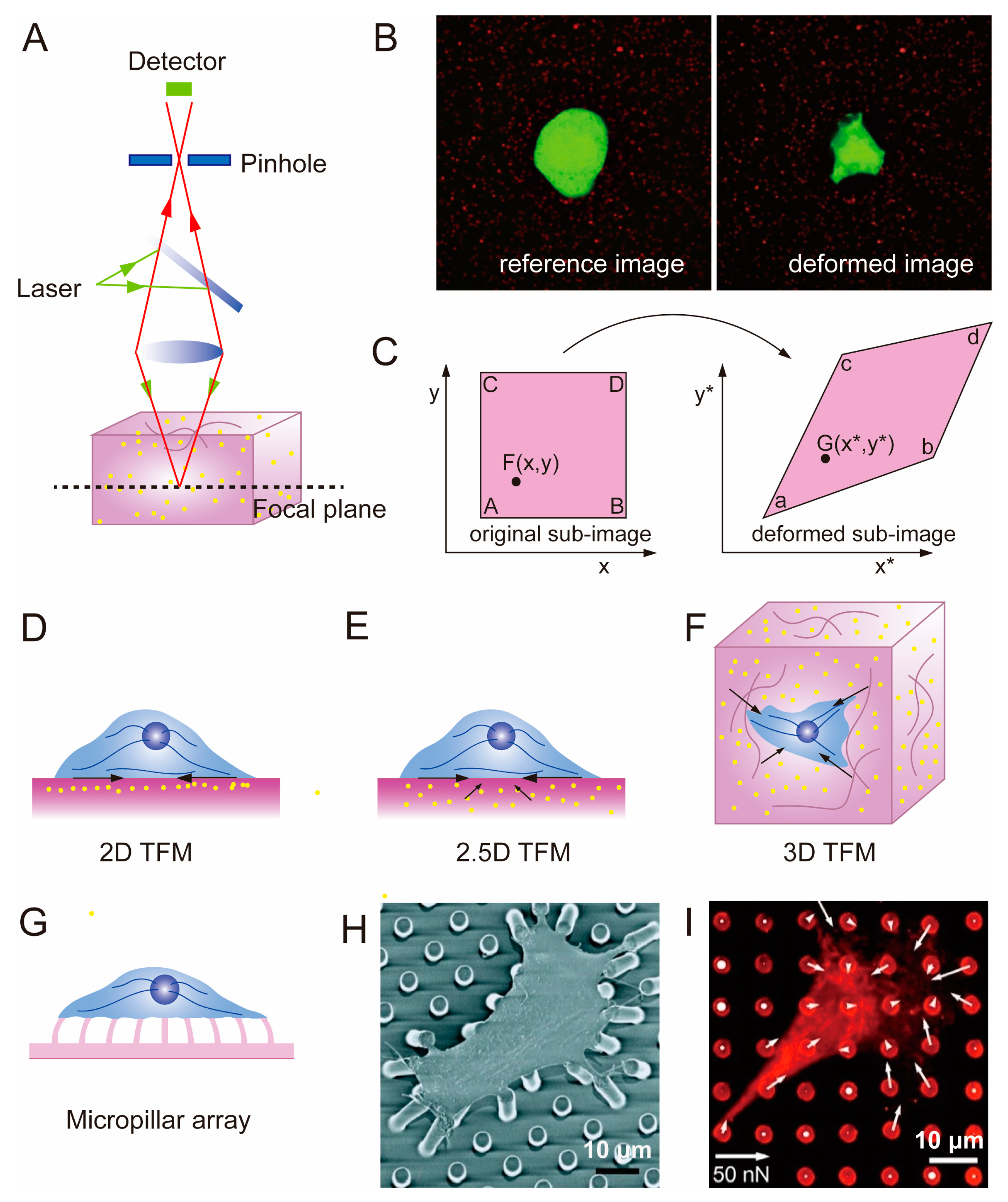 Polymers 15 03255 g004
