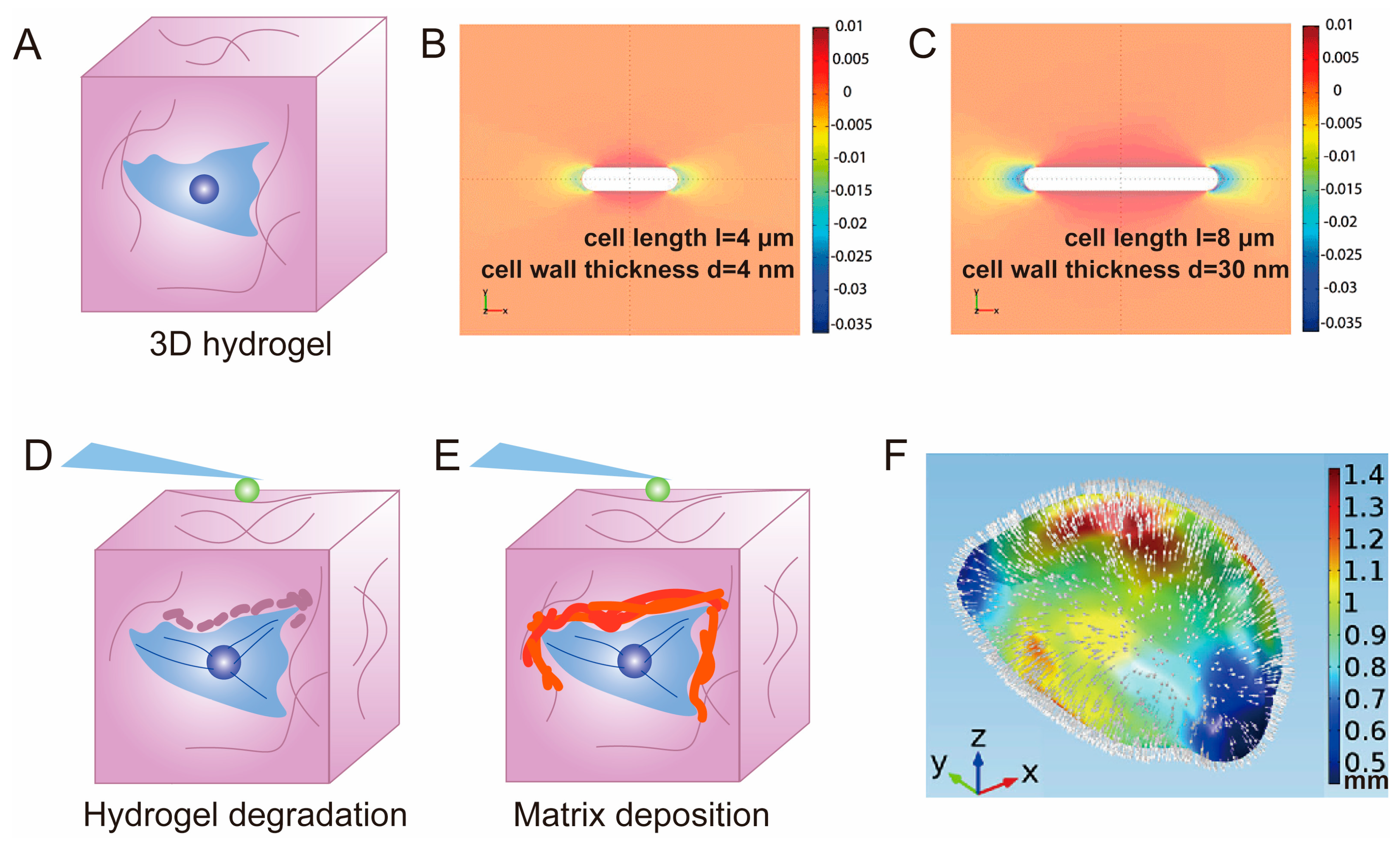 Polymers 15 03255 g006