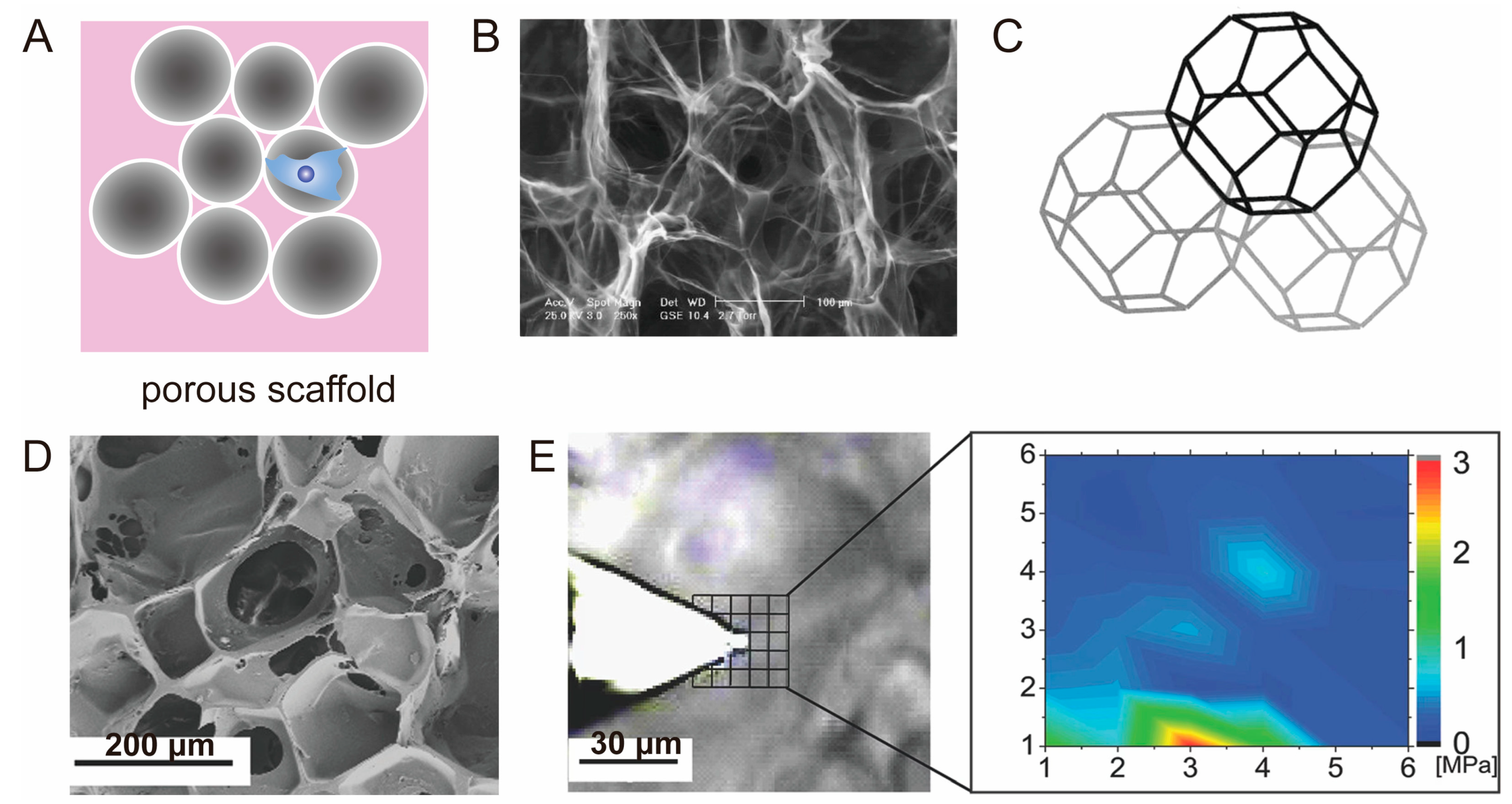Polymers 15 03255 g007