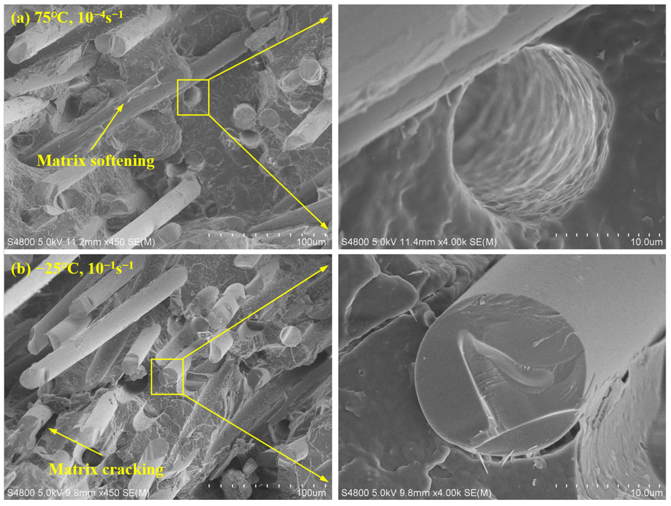 Polymers 15 03260 g011