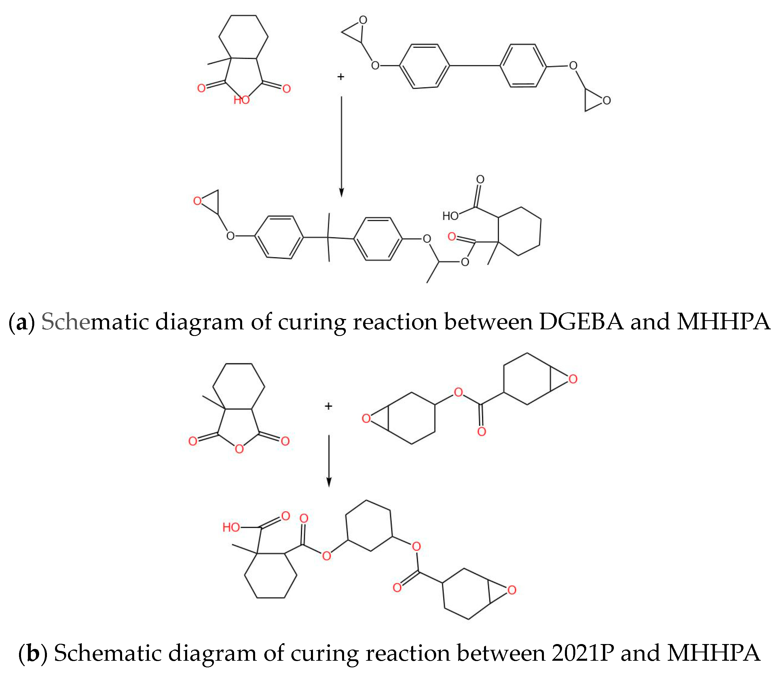 Polymers 15 03263 g002