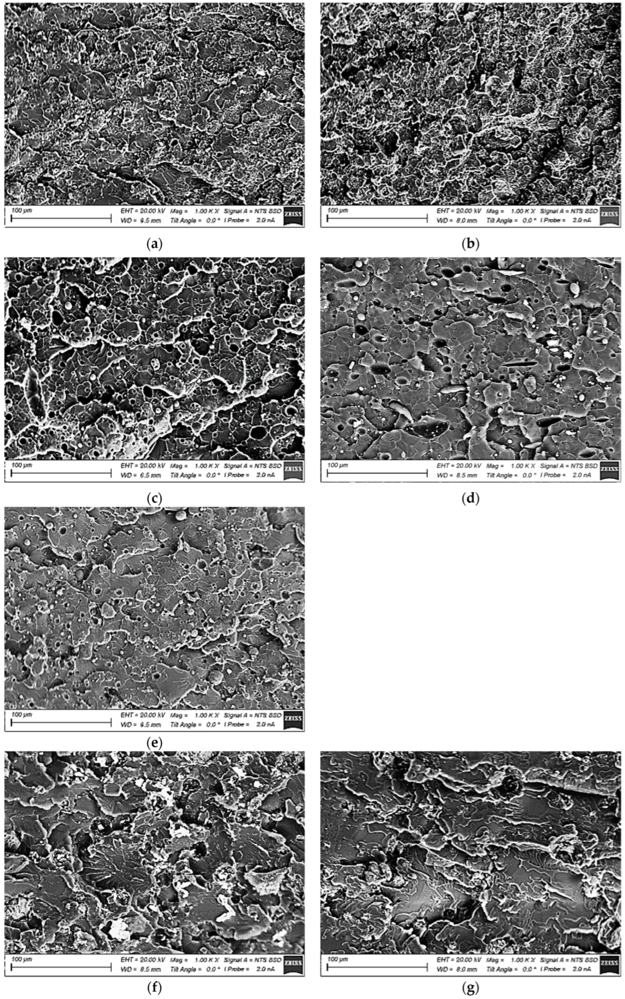 Polymers 15 03266 g002a