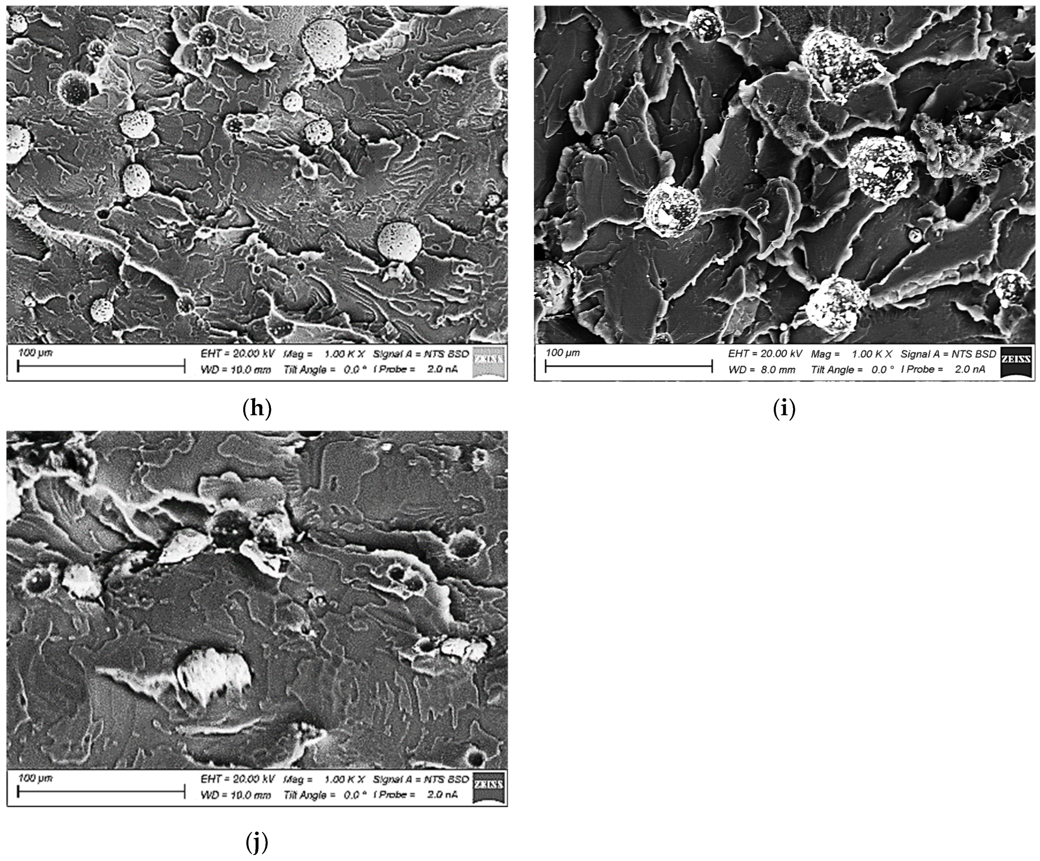 Polymers 15 03266 g002b