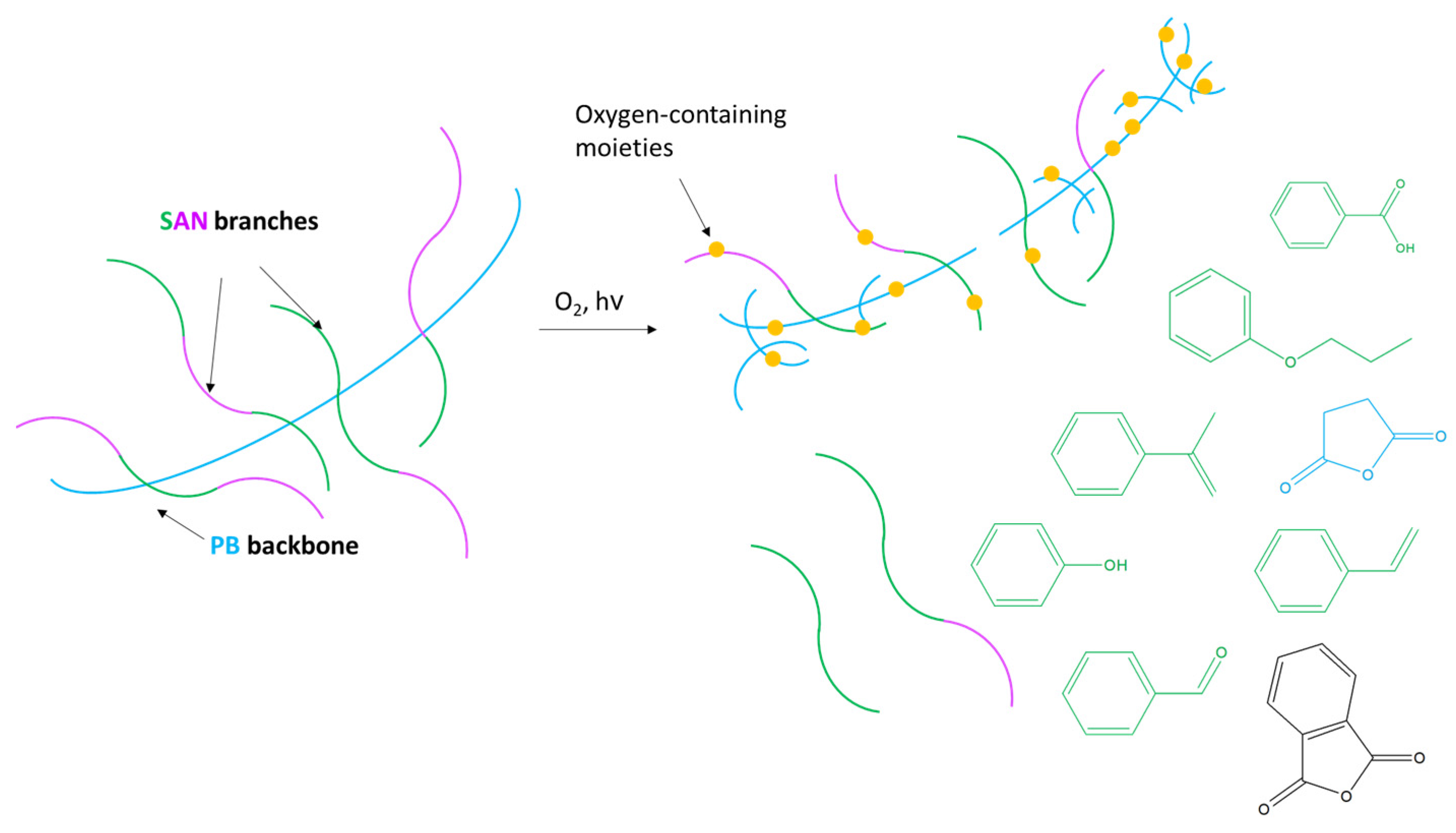 Polymers 15 03267 g006