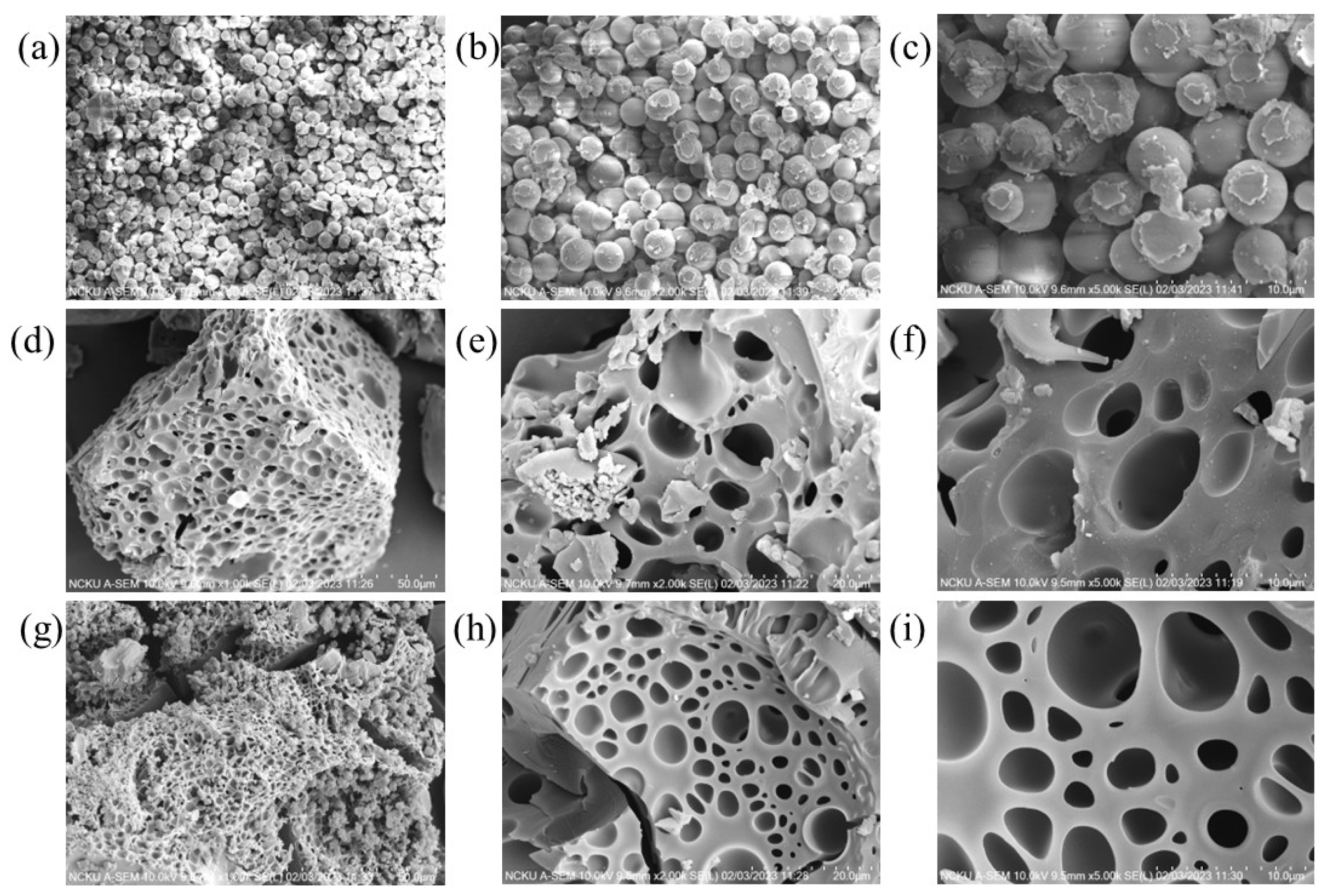 Polymers 15 03268 g002 Polymers 15 03268 g002