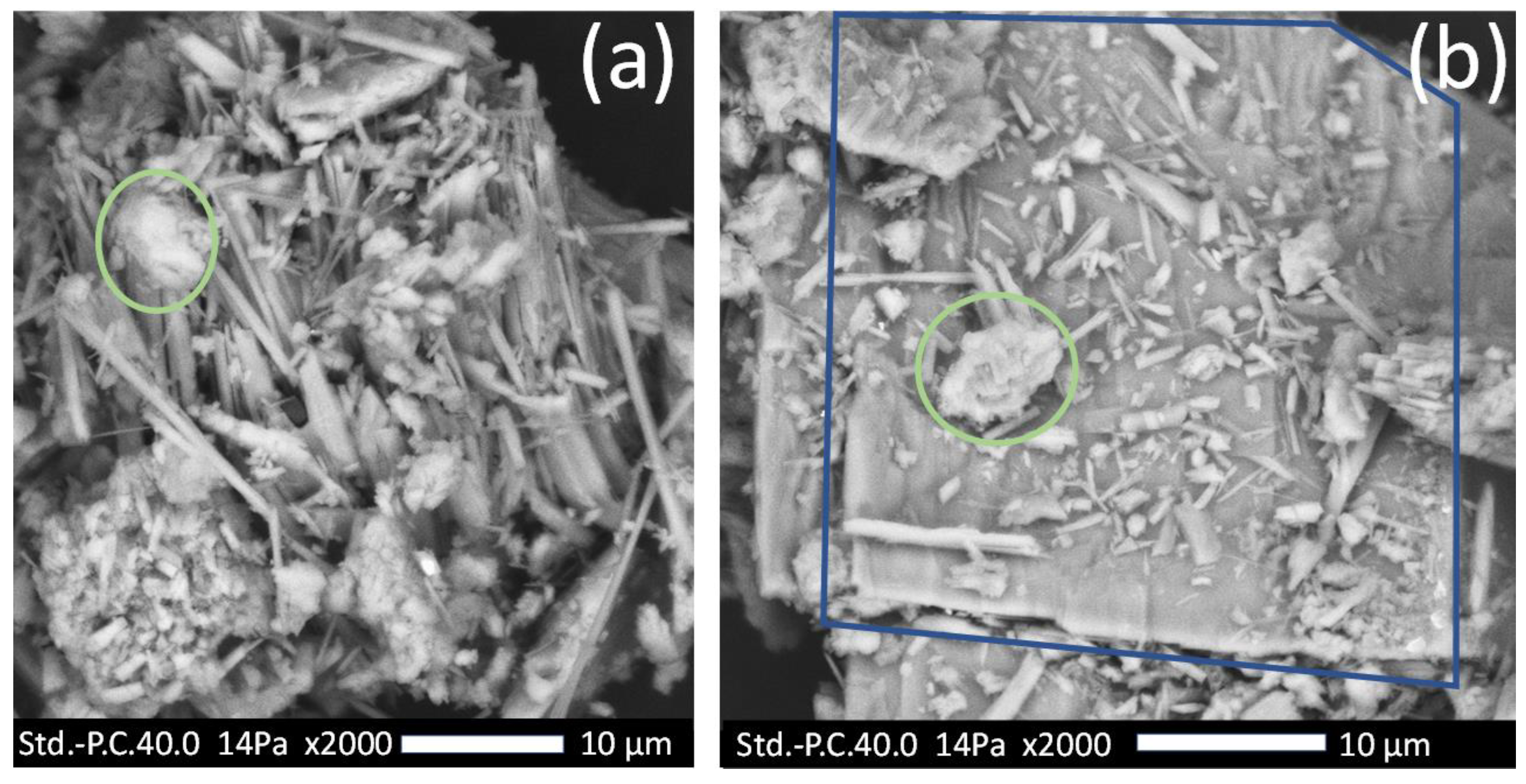Polymers 15 03270 g004