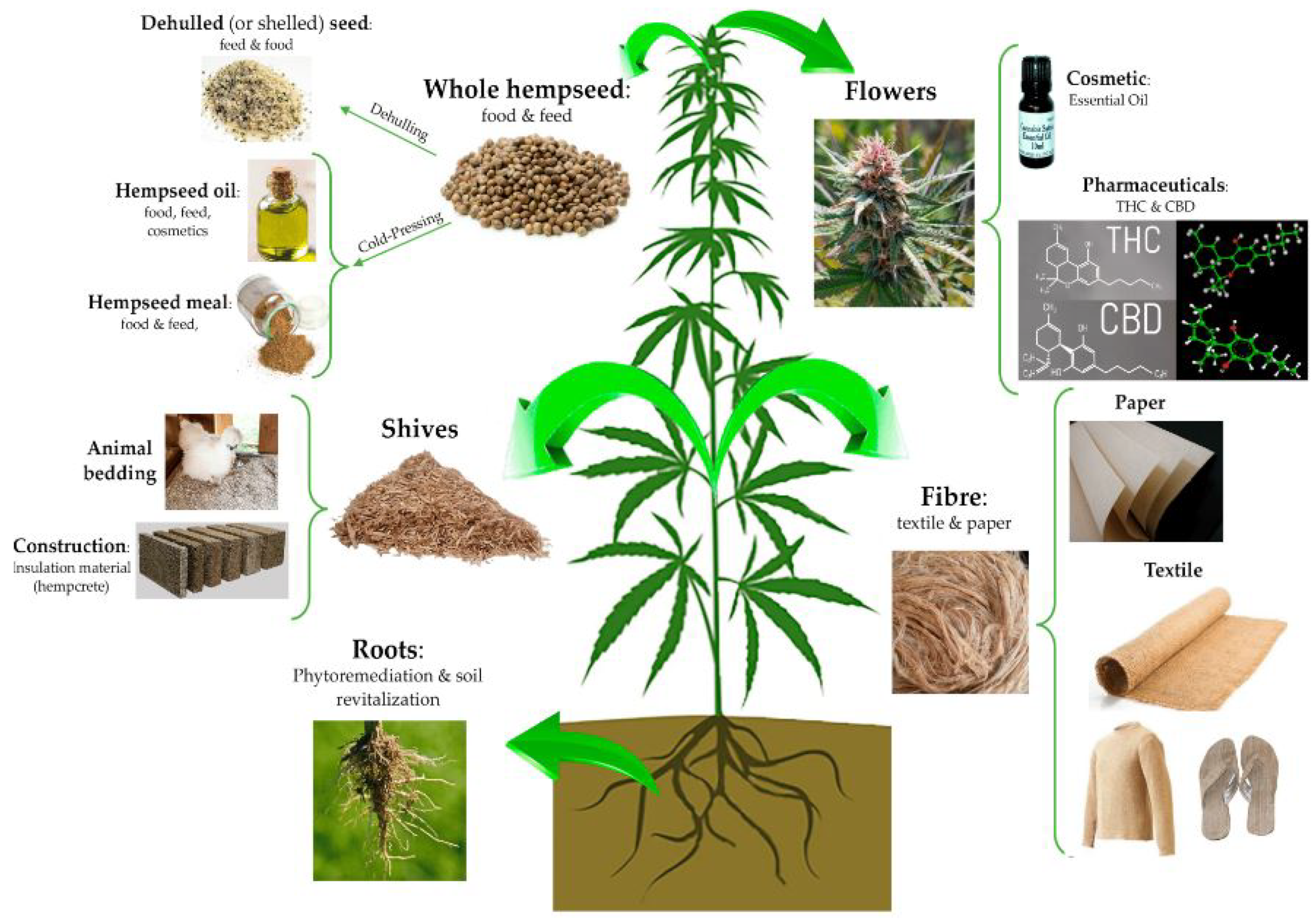 Polymers 15 03271 g001 Polymers 15 03271 g001