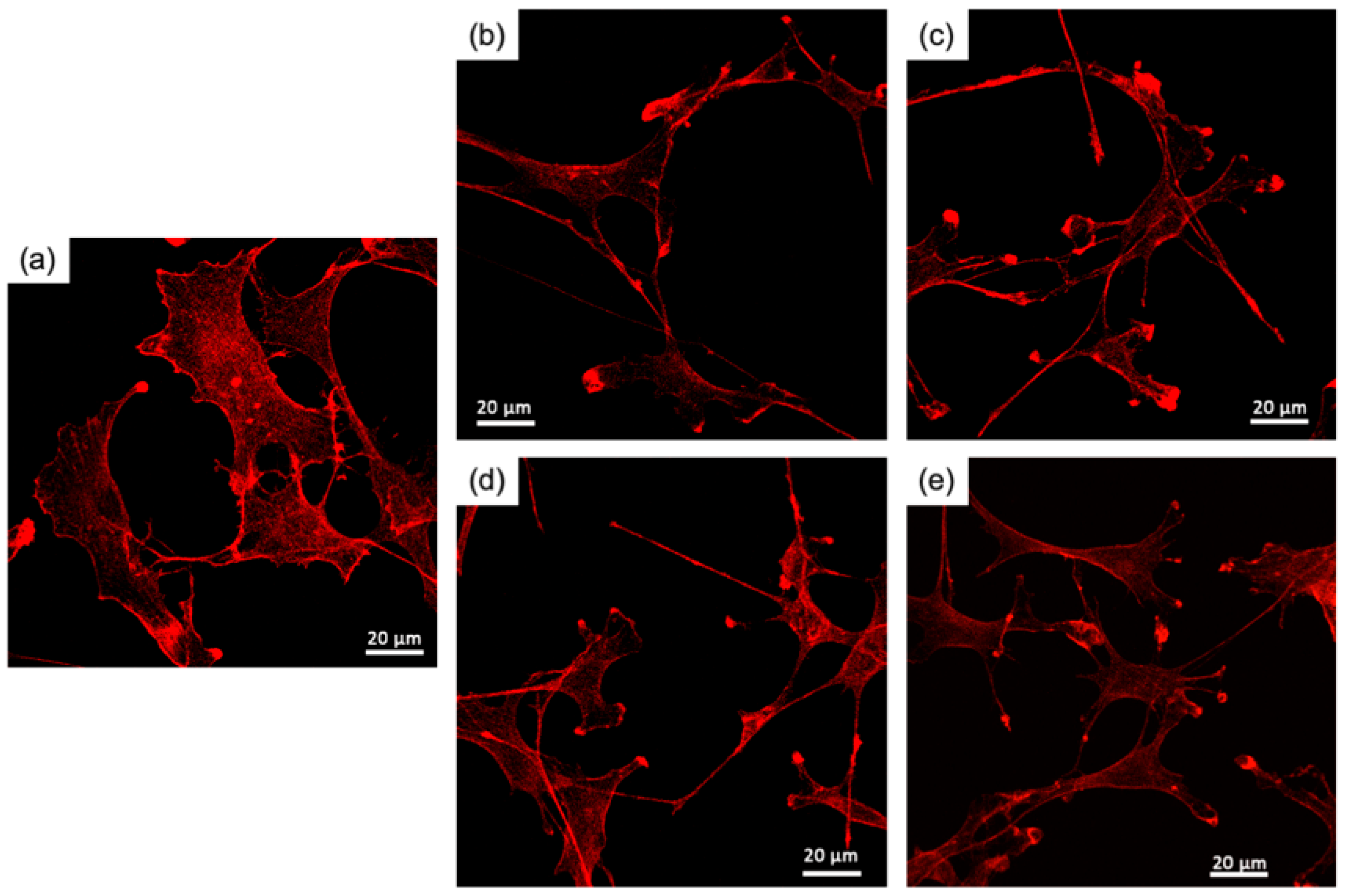 Polymers 15 03272 g004 Polymers 15 03272 g004
