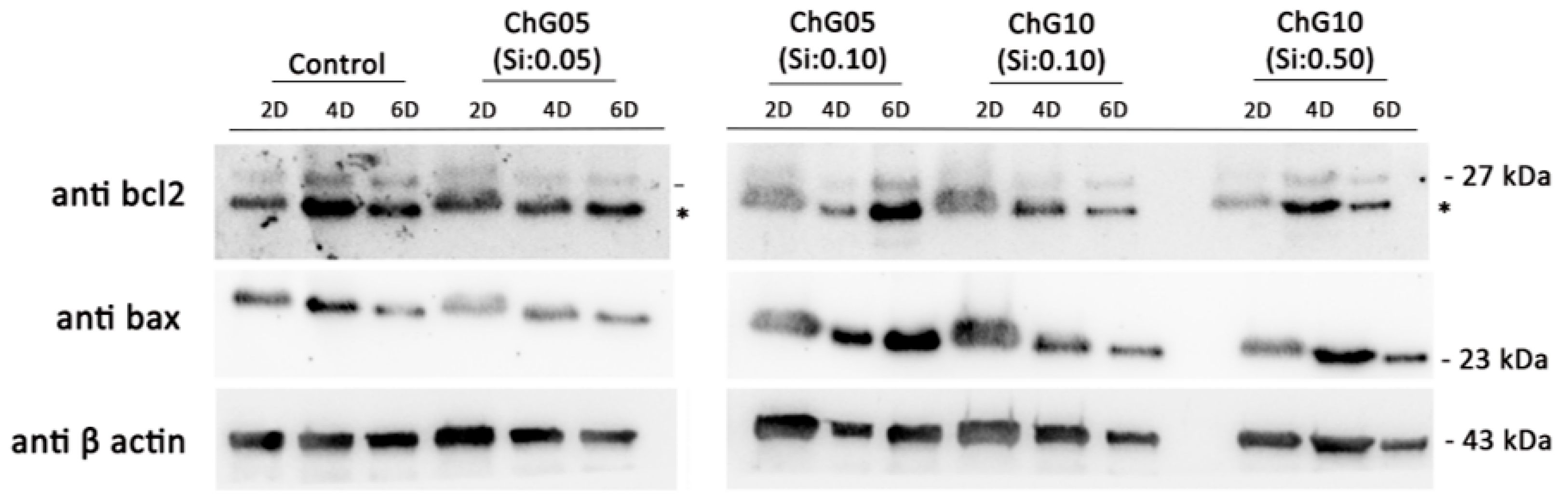 Polymers 15 03272 g006 Polymers 15 03272 g006
