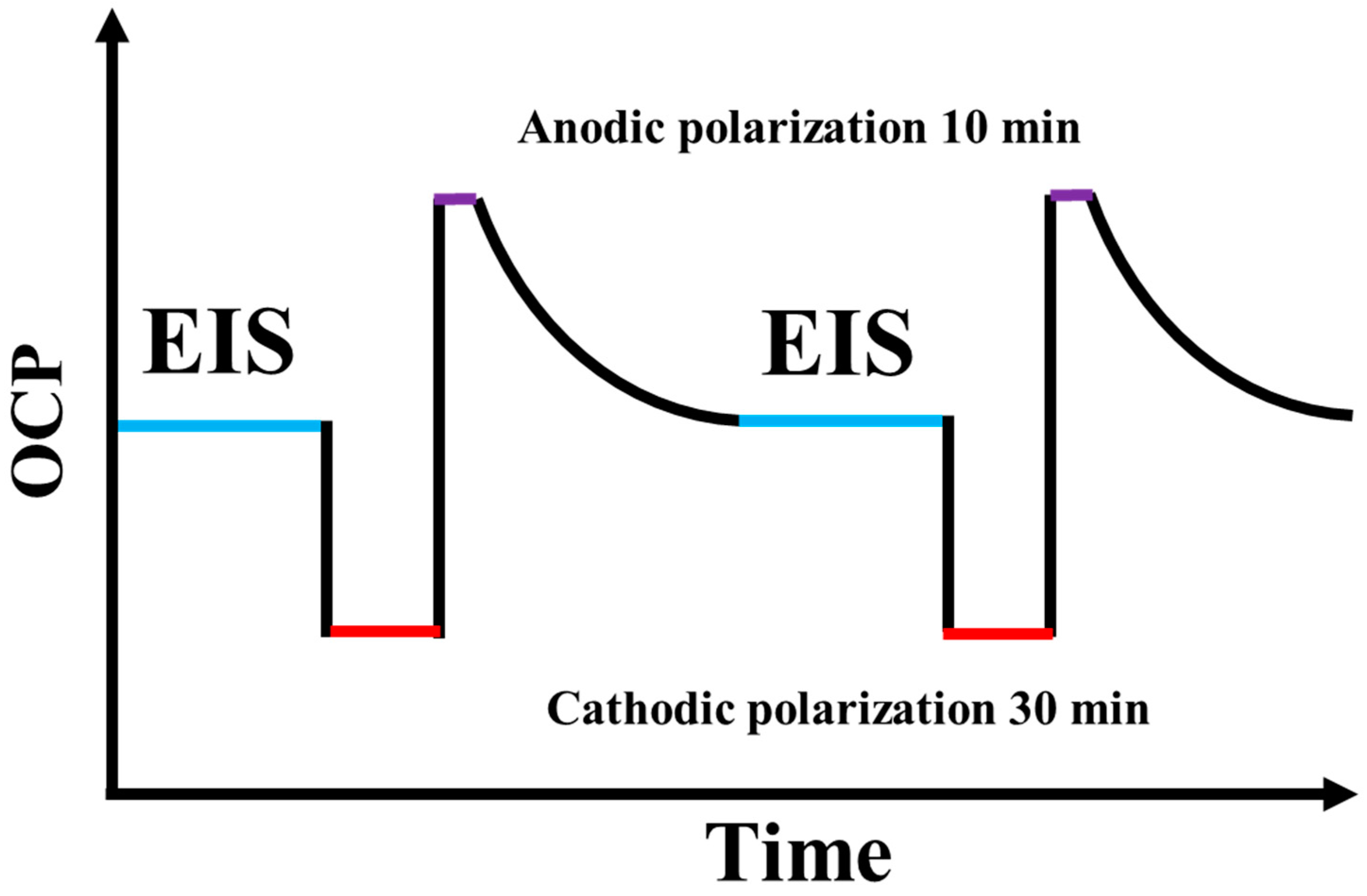 Polymers 15 03273 g002 Polymers 15 03273 g002