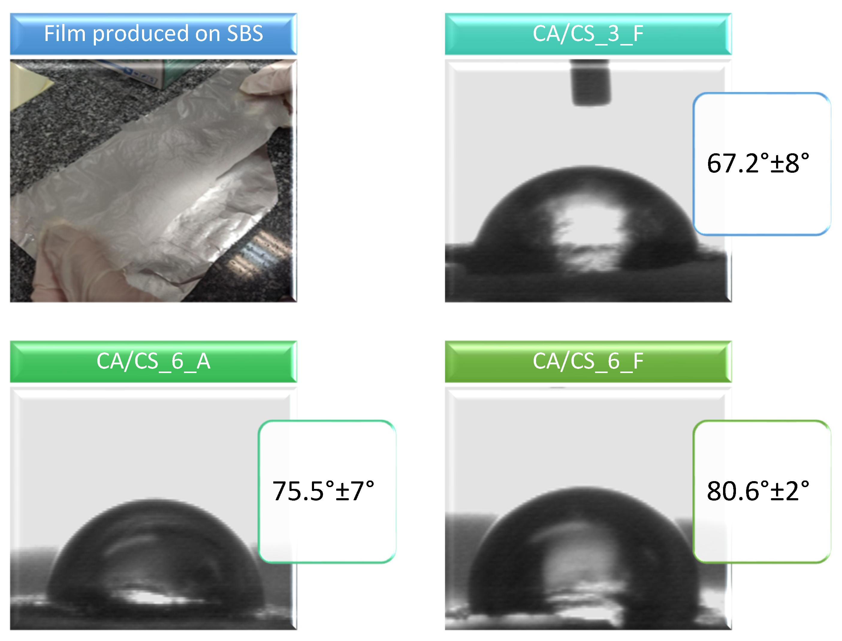 Polymers 15 03276 g002