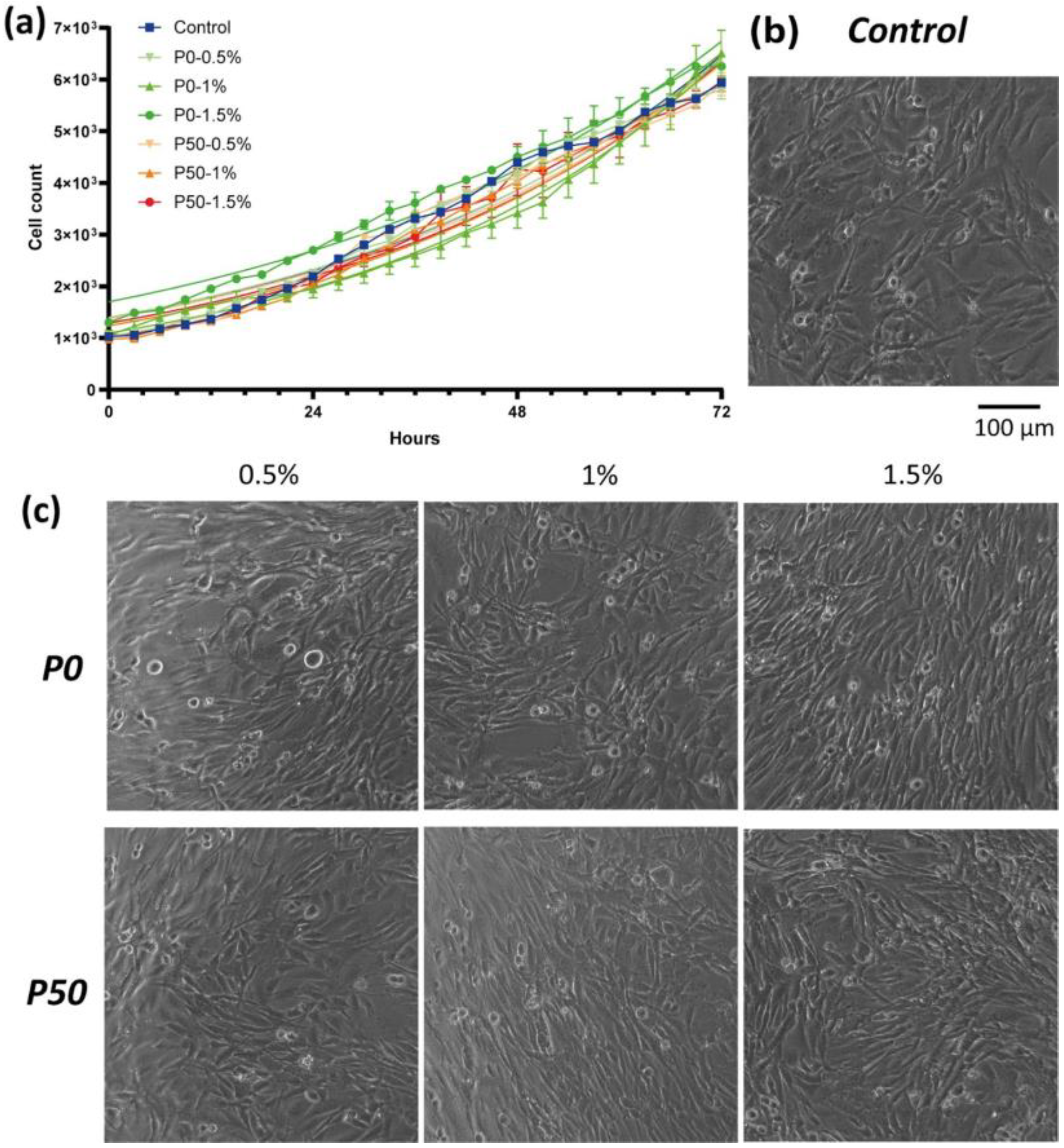 Polymers 15 03280 g012