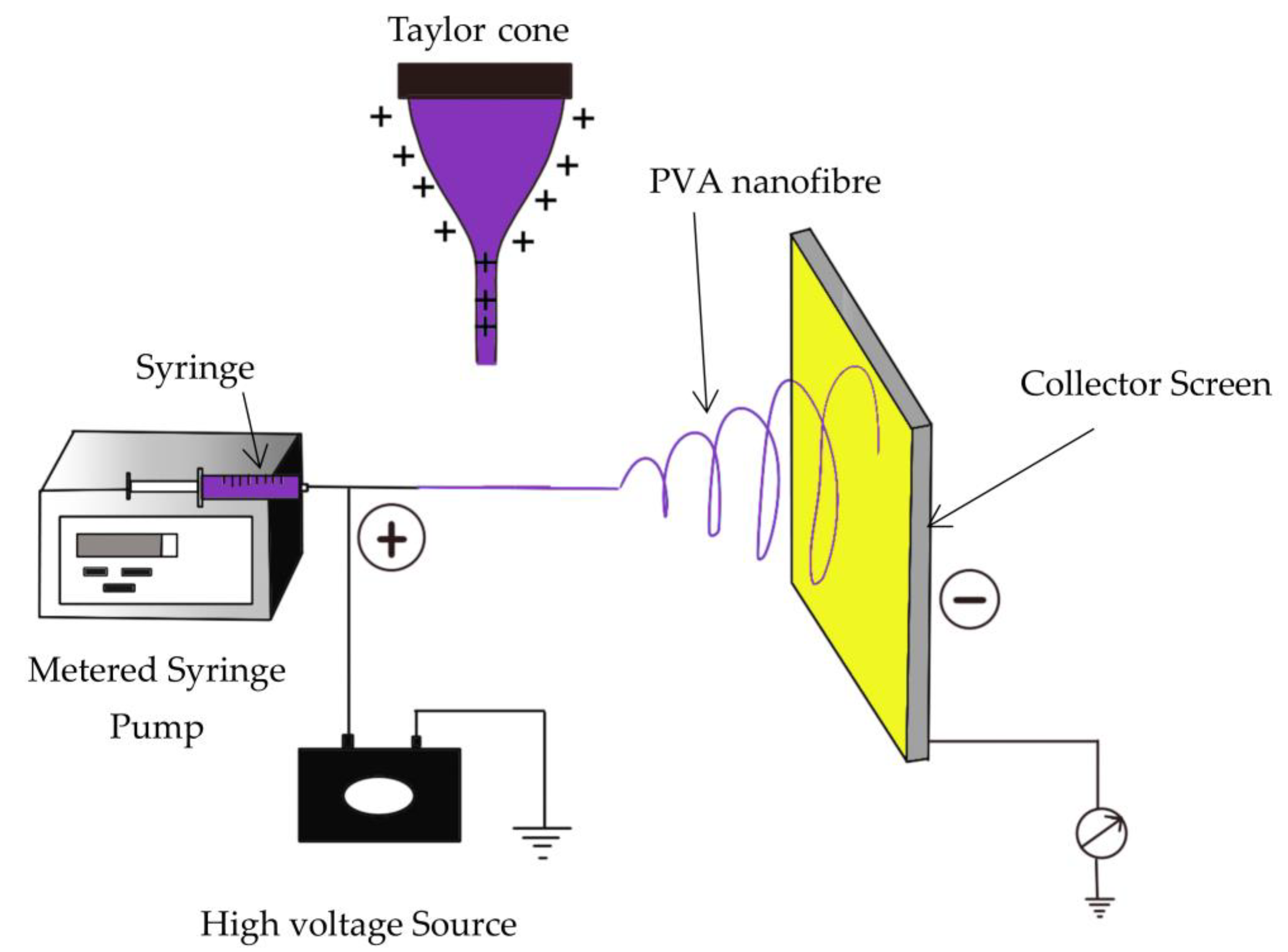 Polymers 15 03281 g001