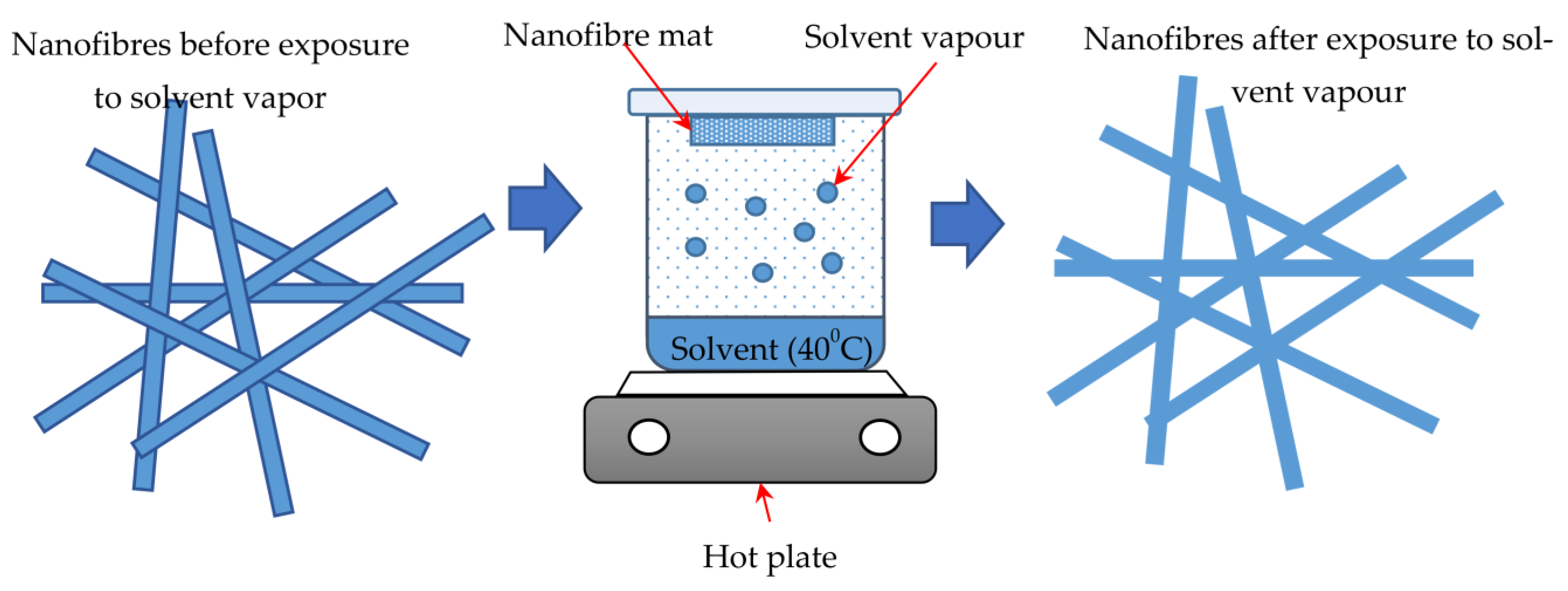 Polymers 15 03281 g006