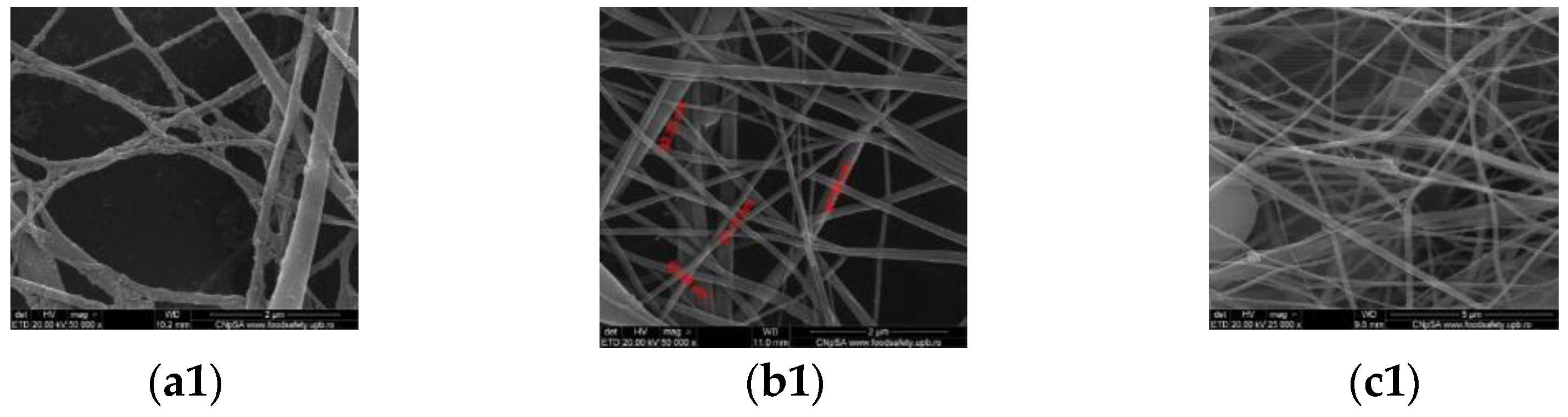 Polymers 15 03282 g002a Polymers 15 03282 g002a