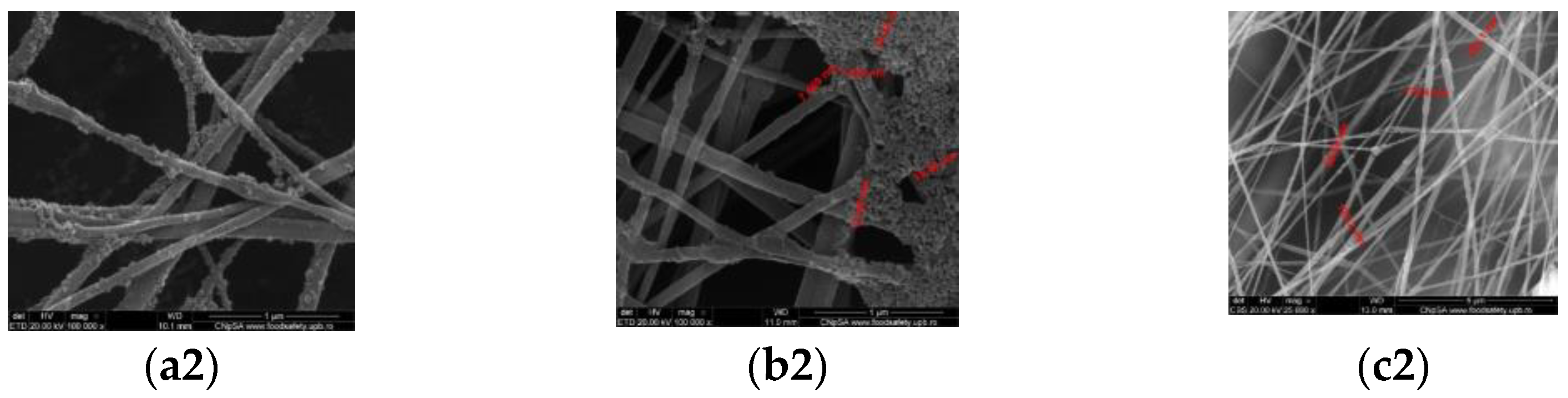 Polymers 15 03282 g002b Polymers 15 03282 g002b