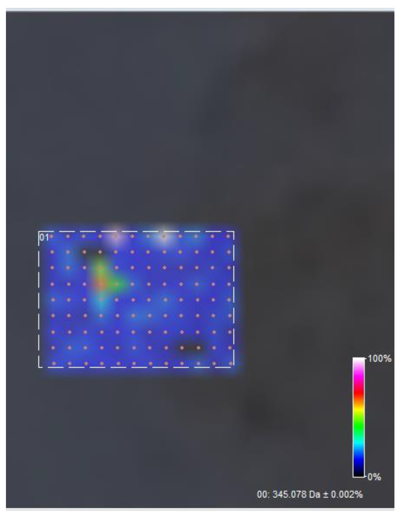 Polymers 15 03282 g007 Polymers 15 03282 g007