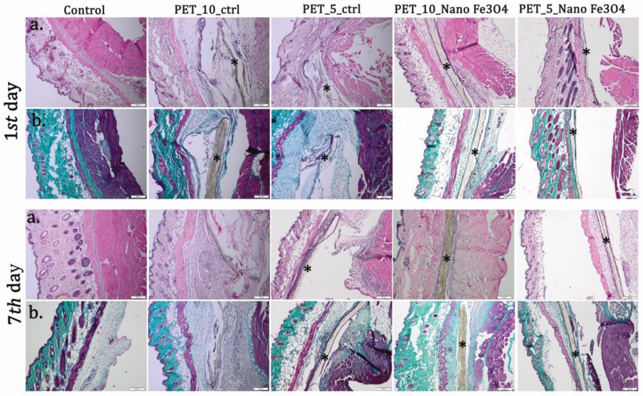 Polymers 15 03282 g016 Polymers 15 03282 g016