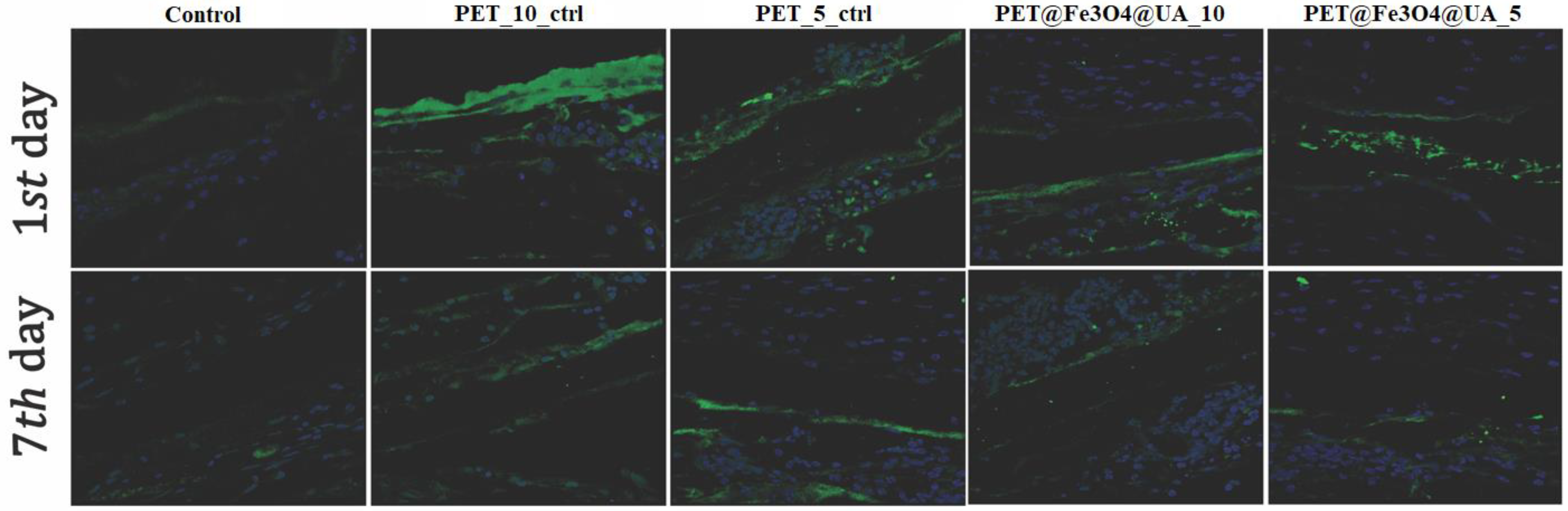 Polymers 15 03282 g017 Polymers 15 03282 g017