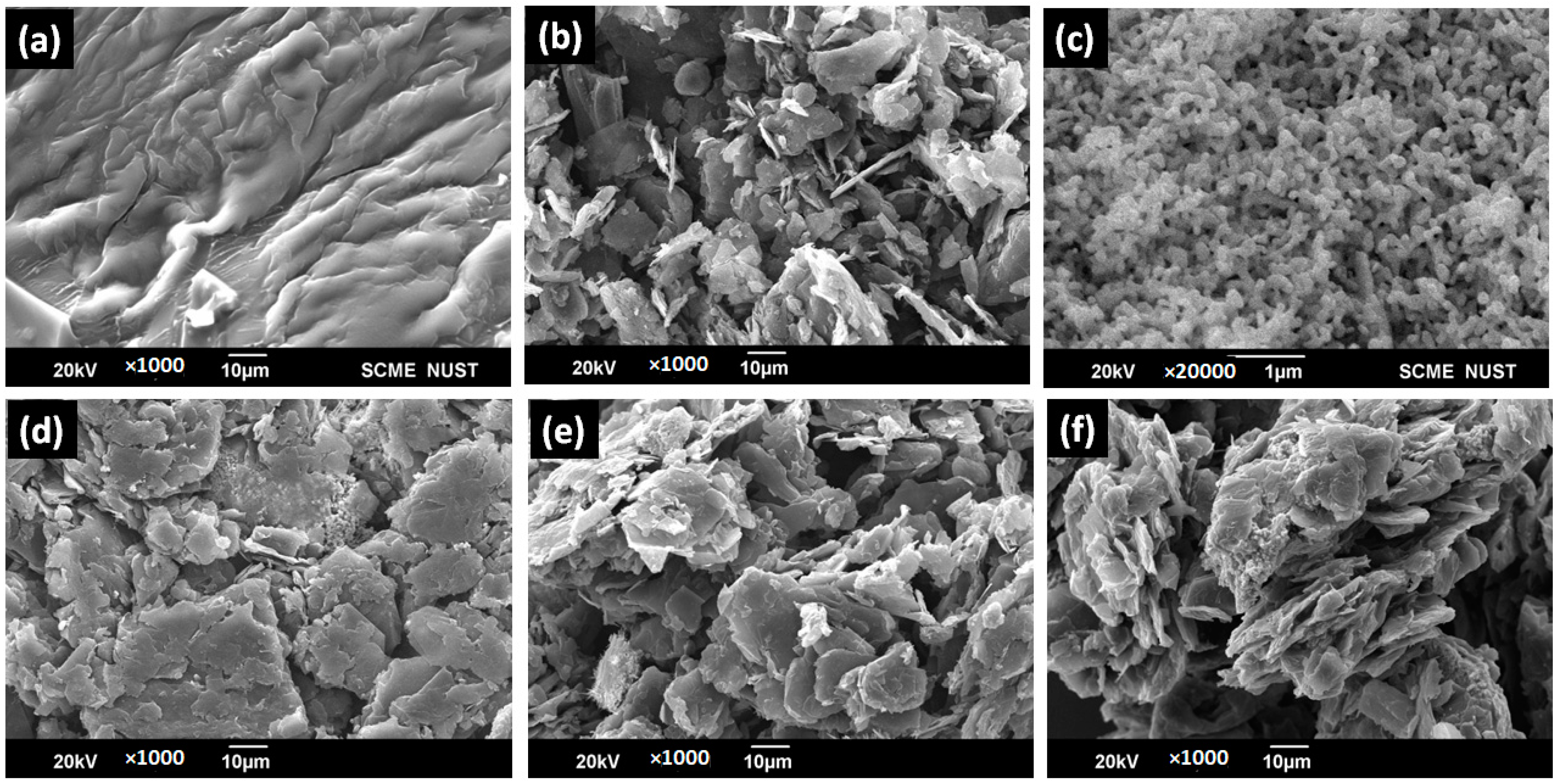 Polymers 15 03283 g007