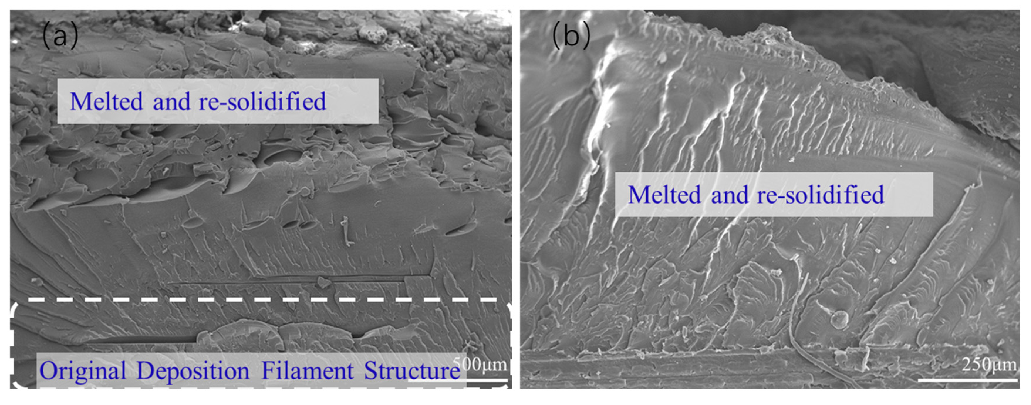 Polymers 15 03288 g014