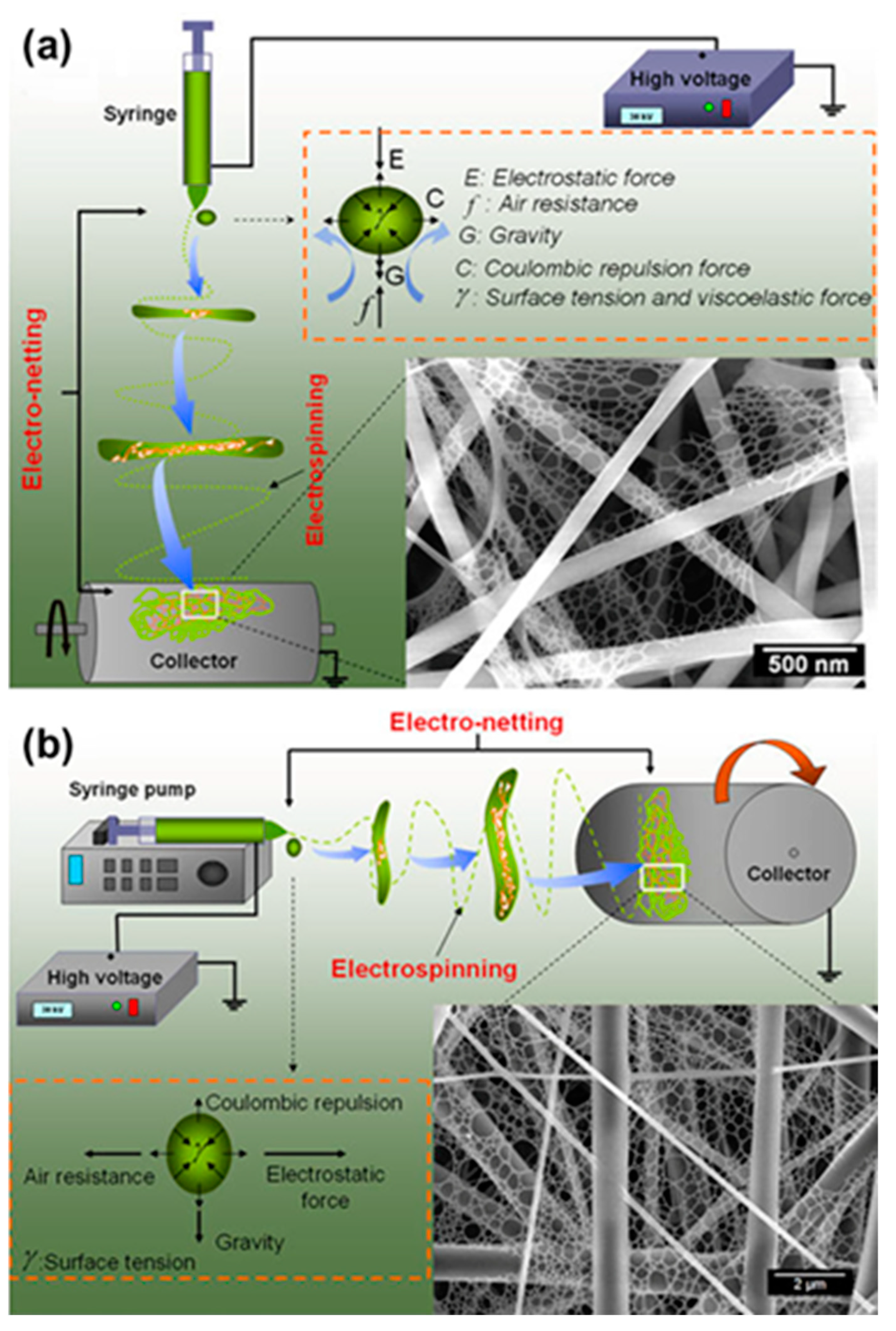 Polymers 15 03290 g003
