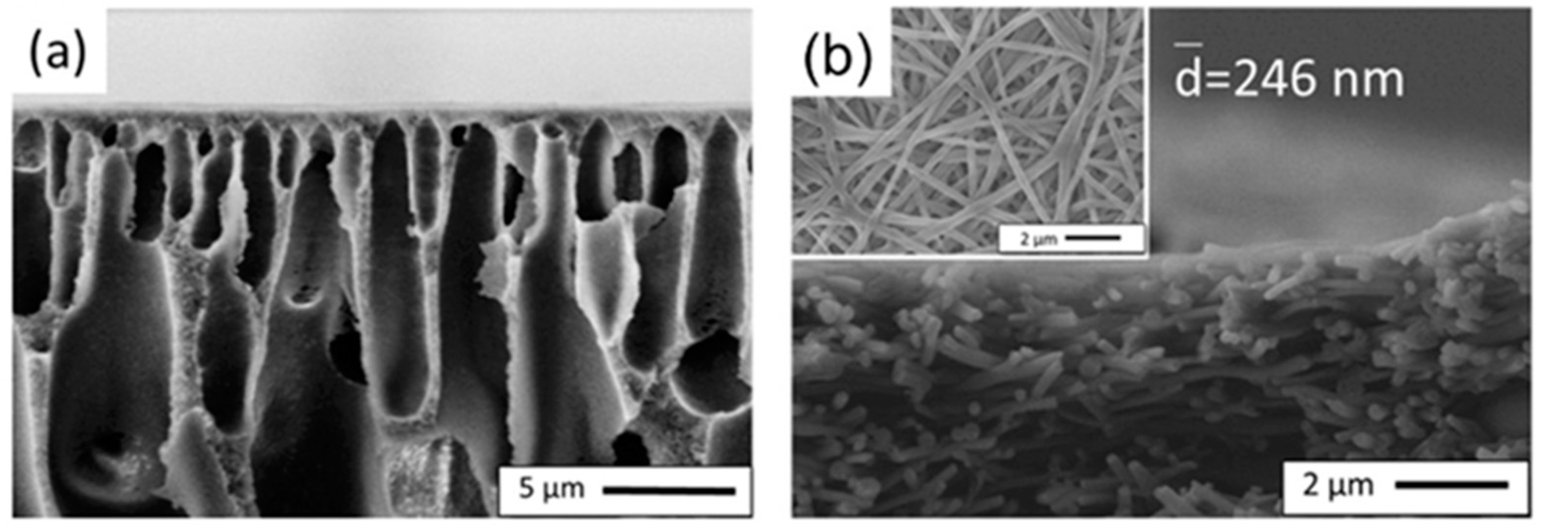 Polymers 15 03290 g004