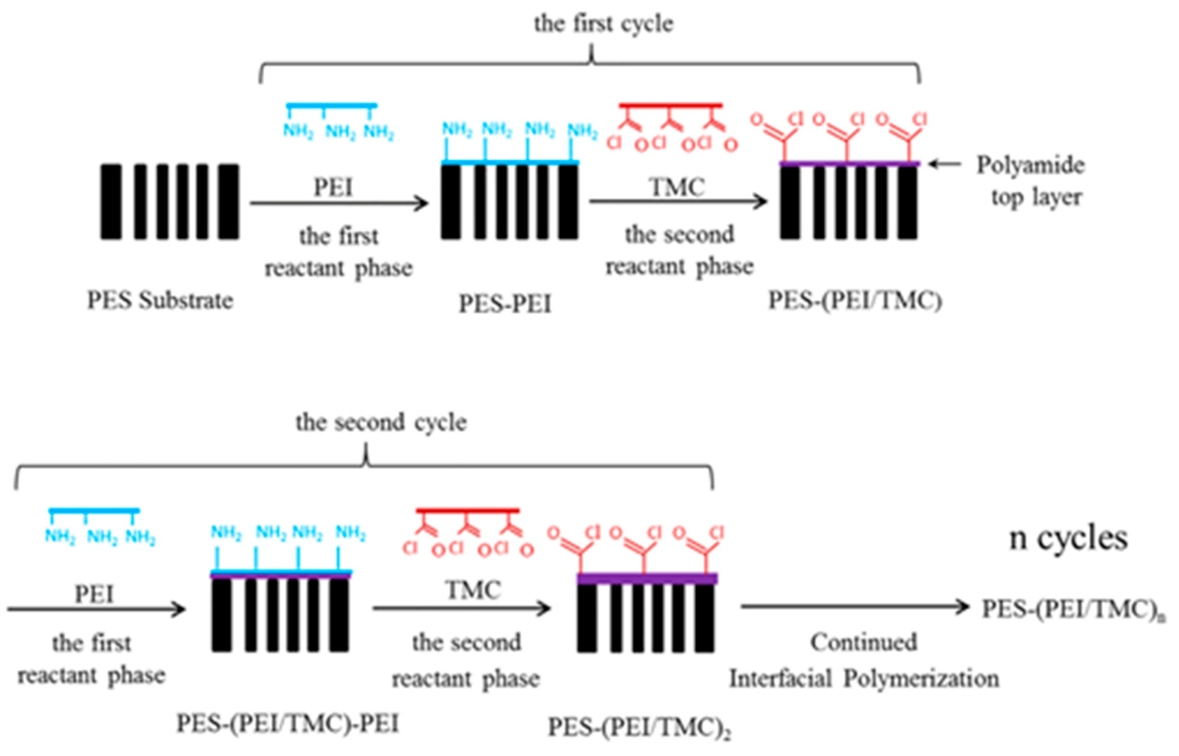 Polymers 15 03290 g009