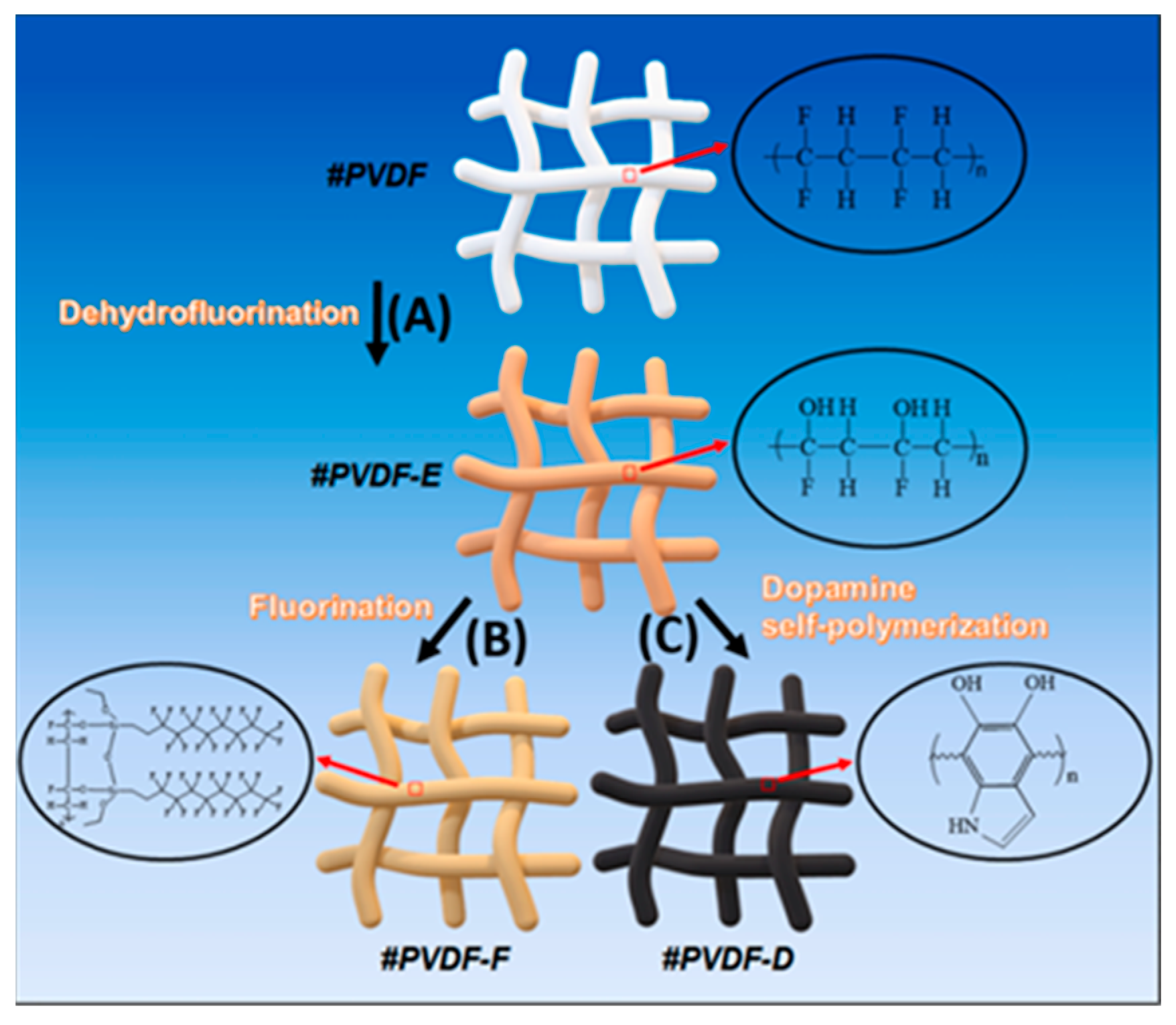 Polymers 15 03290 g017
