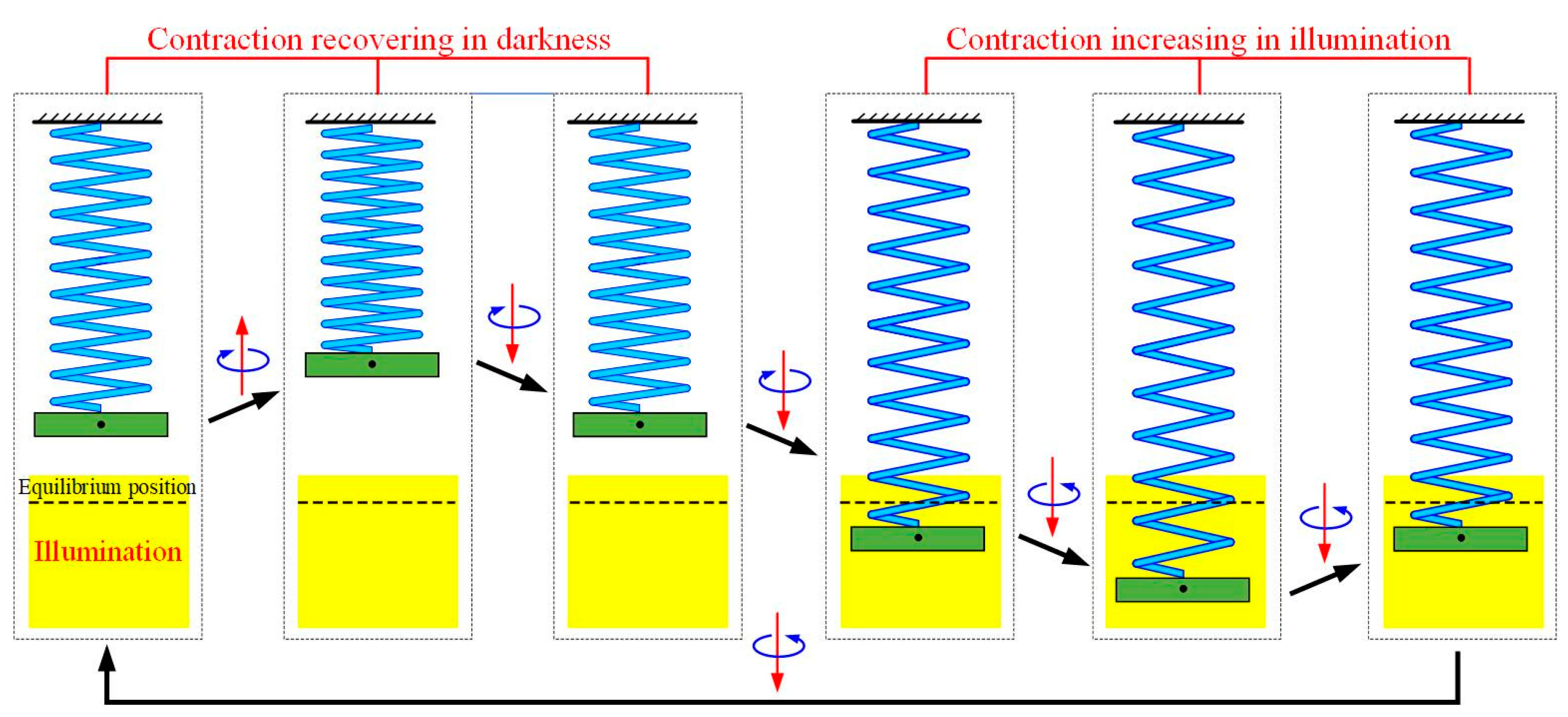 Polymers 15 03294 g006