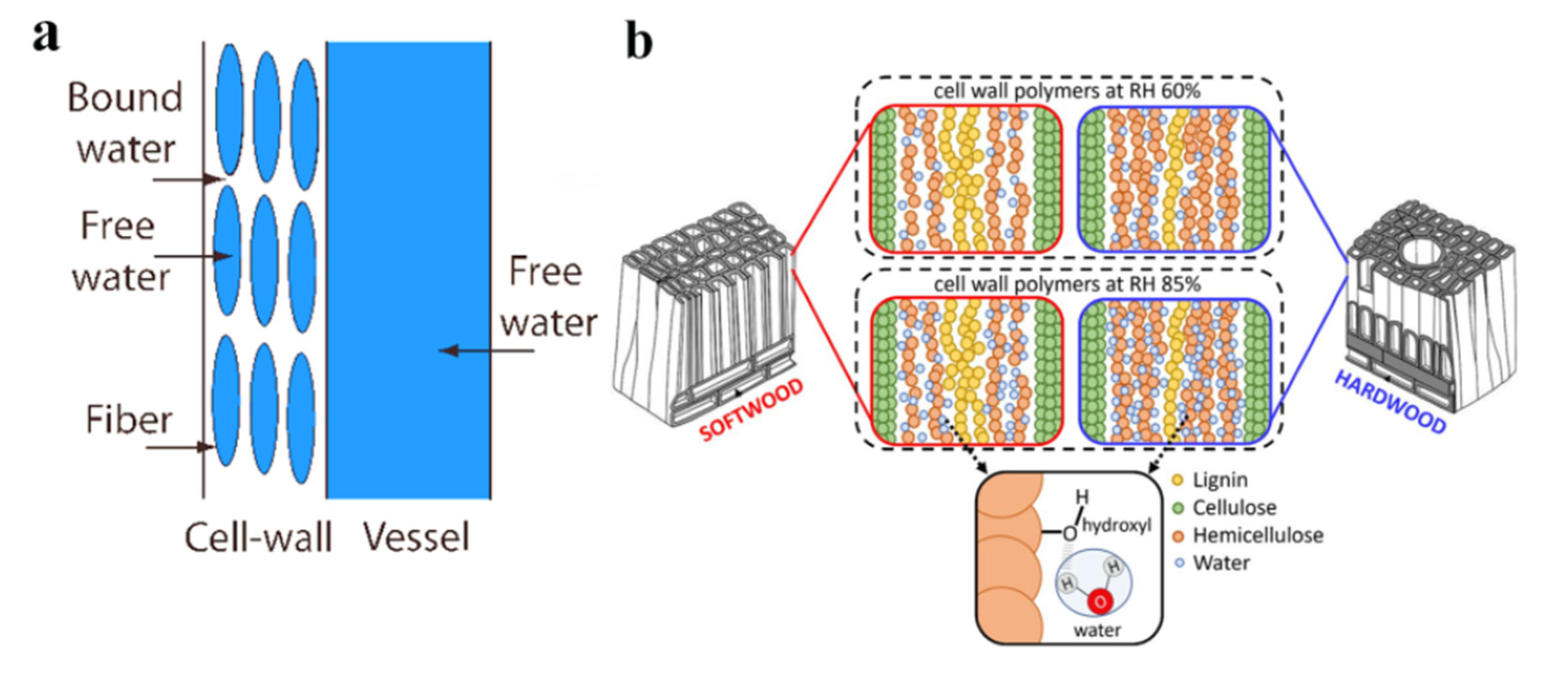 Polymers 15 03295 g002