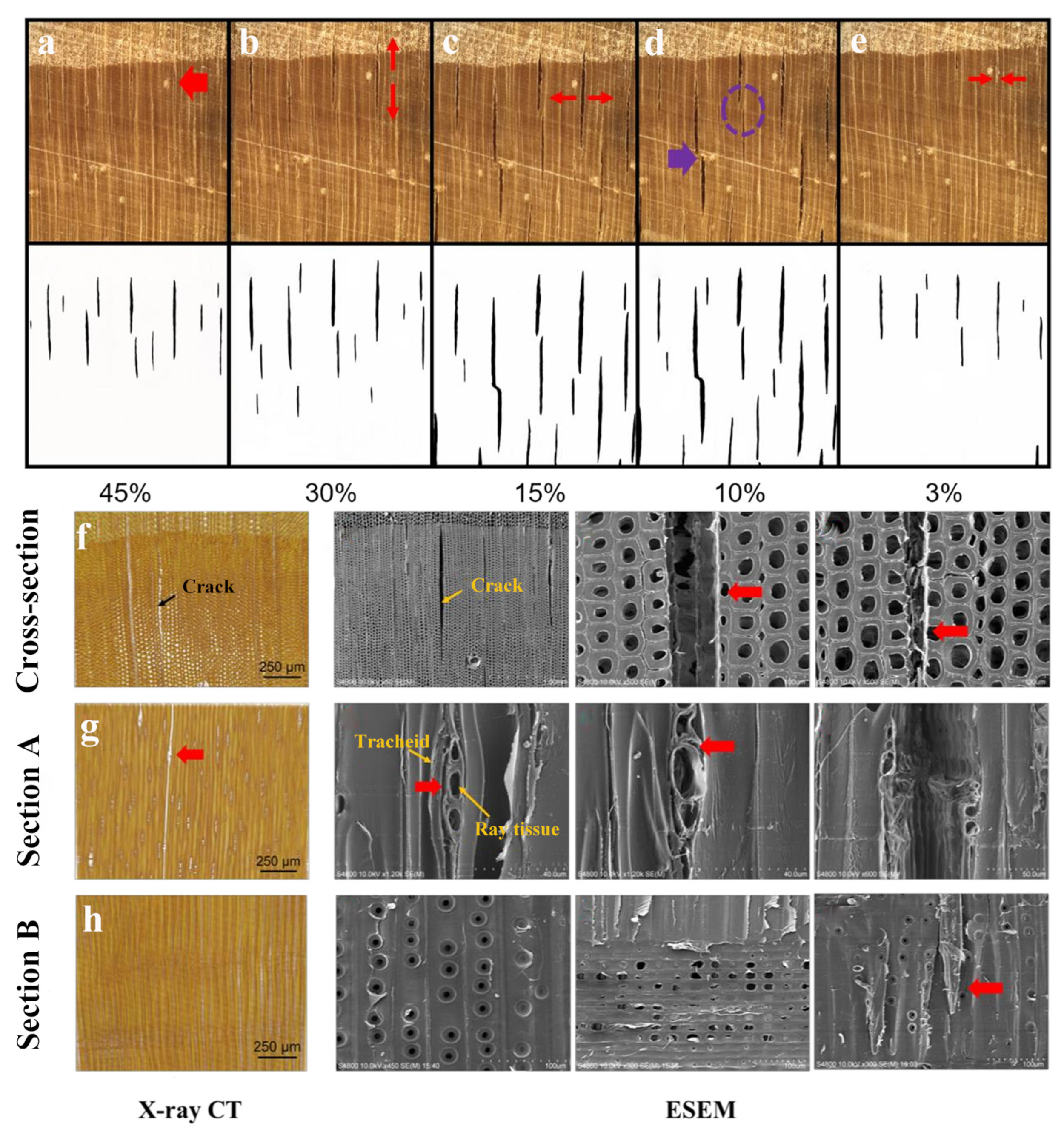 Polymers 15 03295 g005
