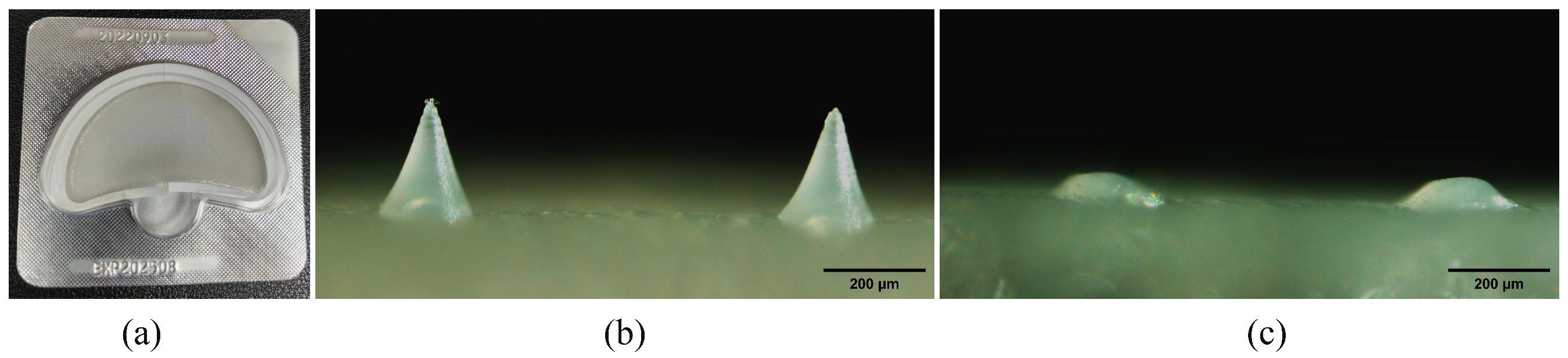 Polymers 15 03296 g003
