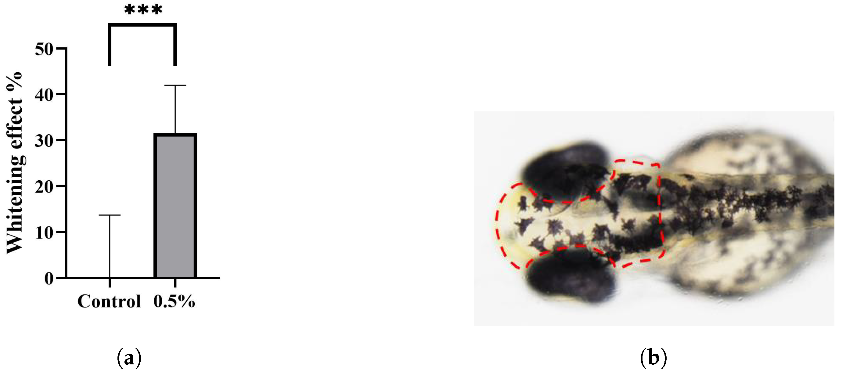 Polymers 15 03296 g009