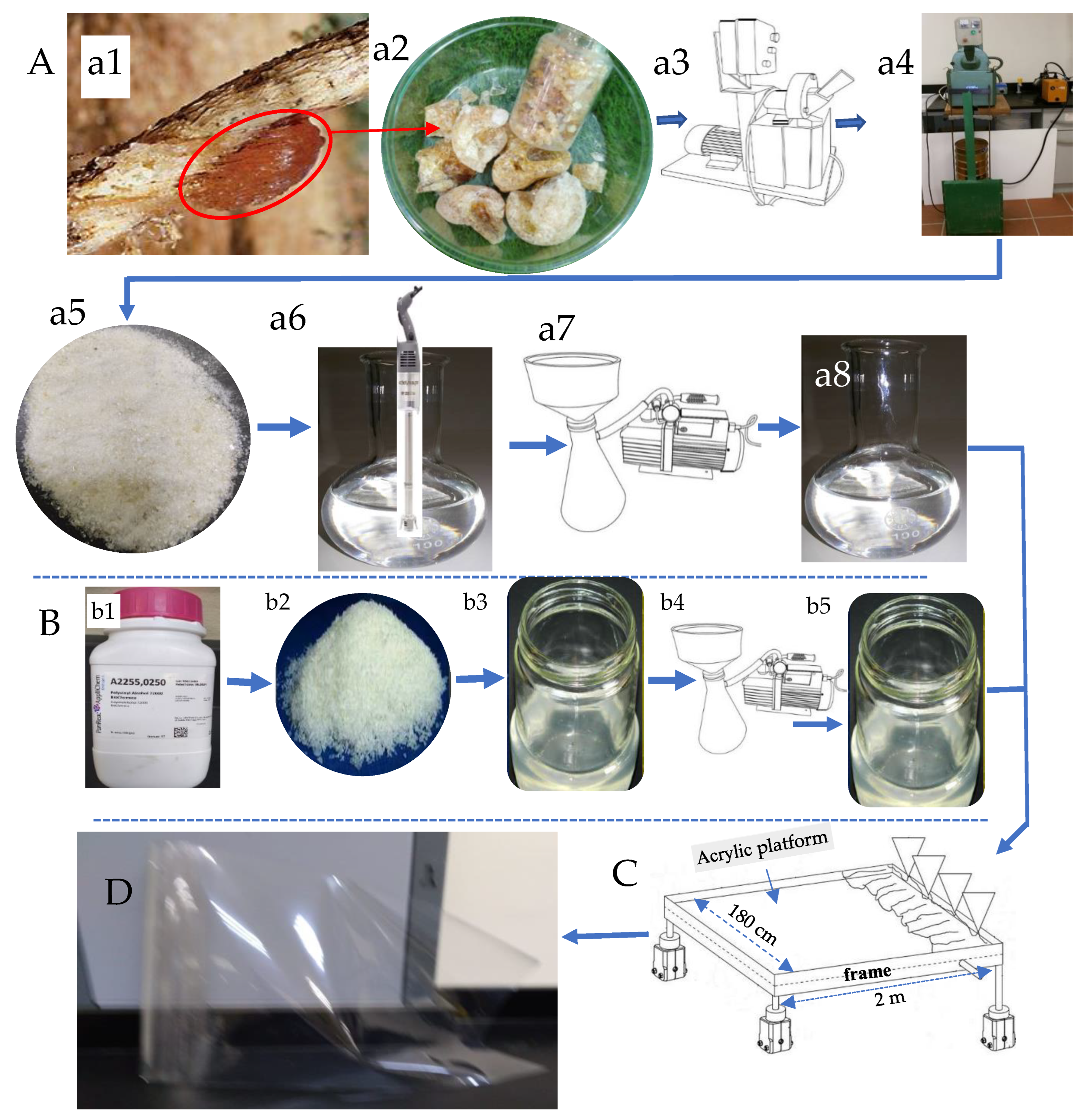 Polymers 15 03303 g002