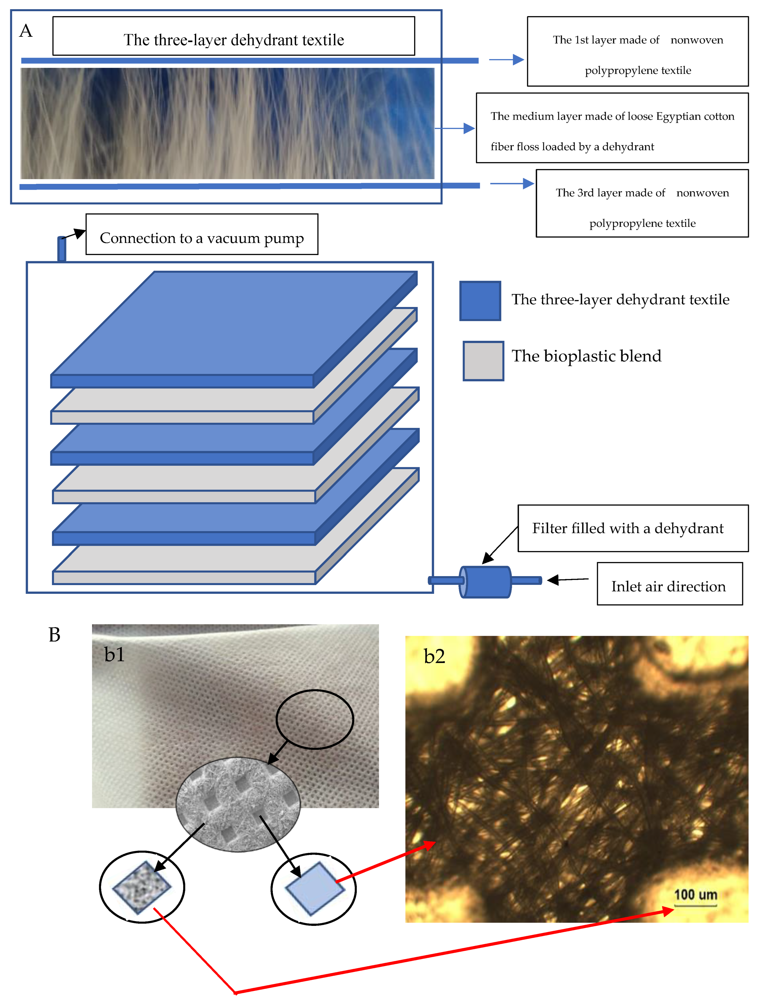 Polymers 15 03303 g003