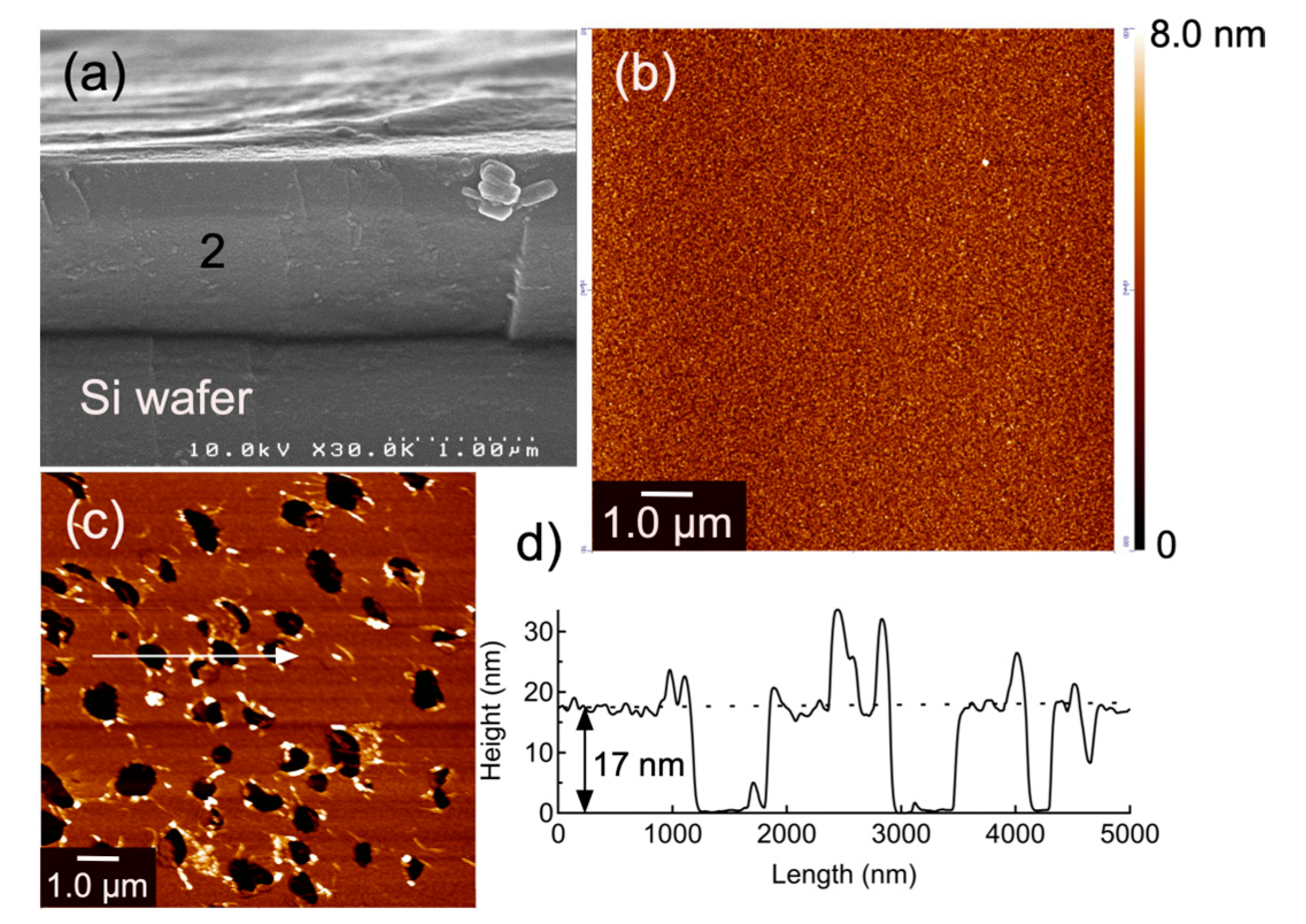 Polymers 15 03309 g001 Polymers 15 03309 g001
