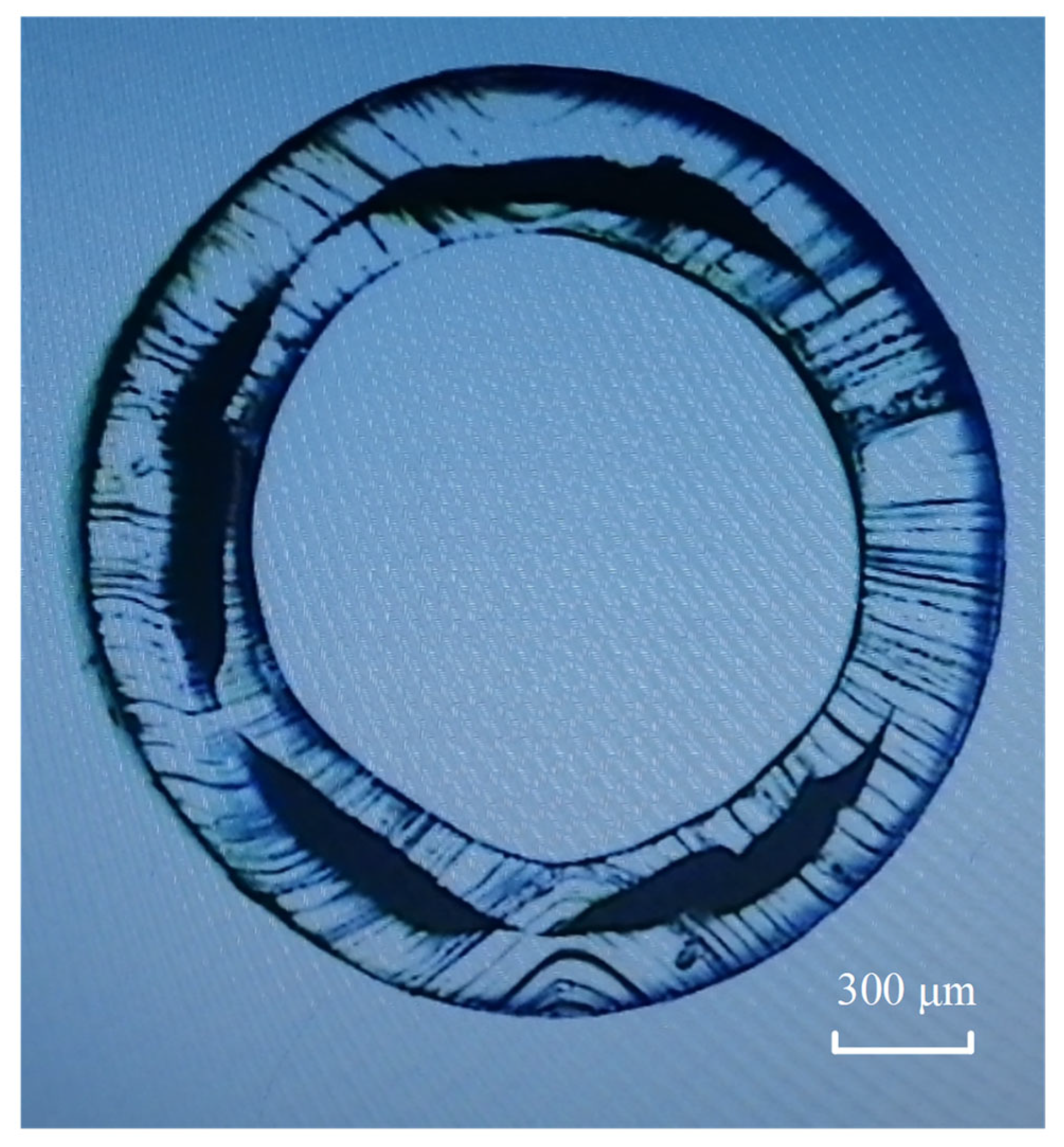 Polymers 15 03310 g013