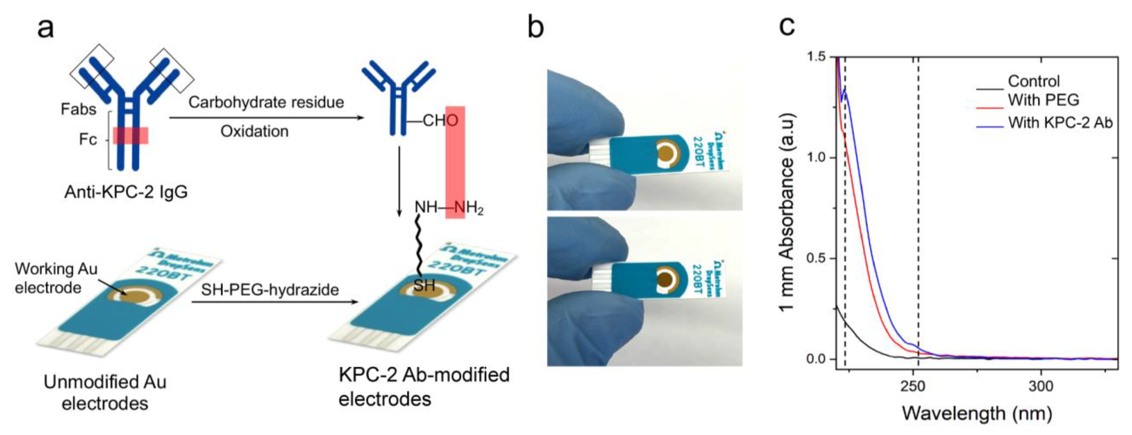 Polymers 15 03316 g001