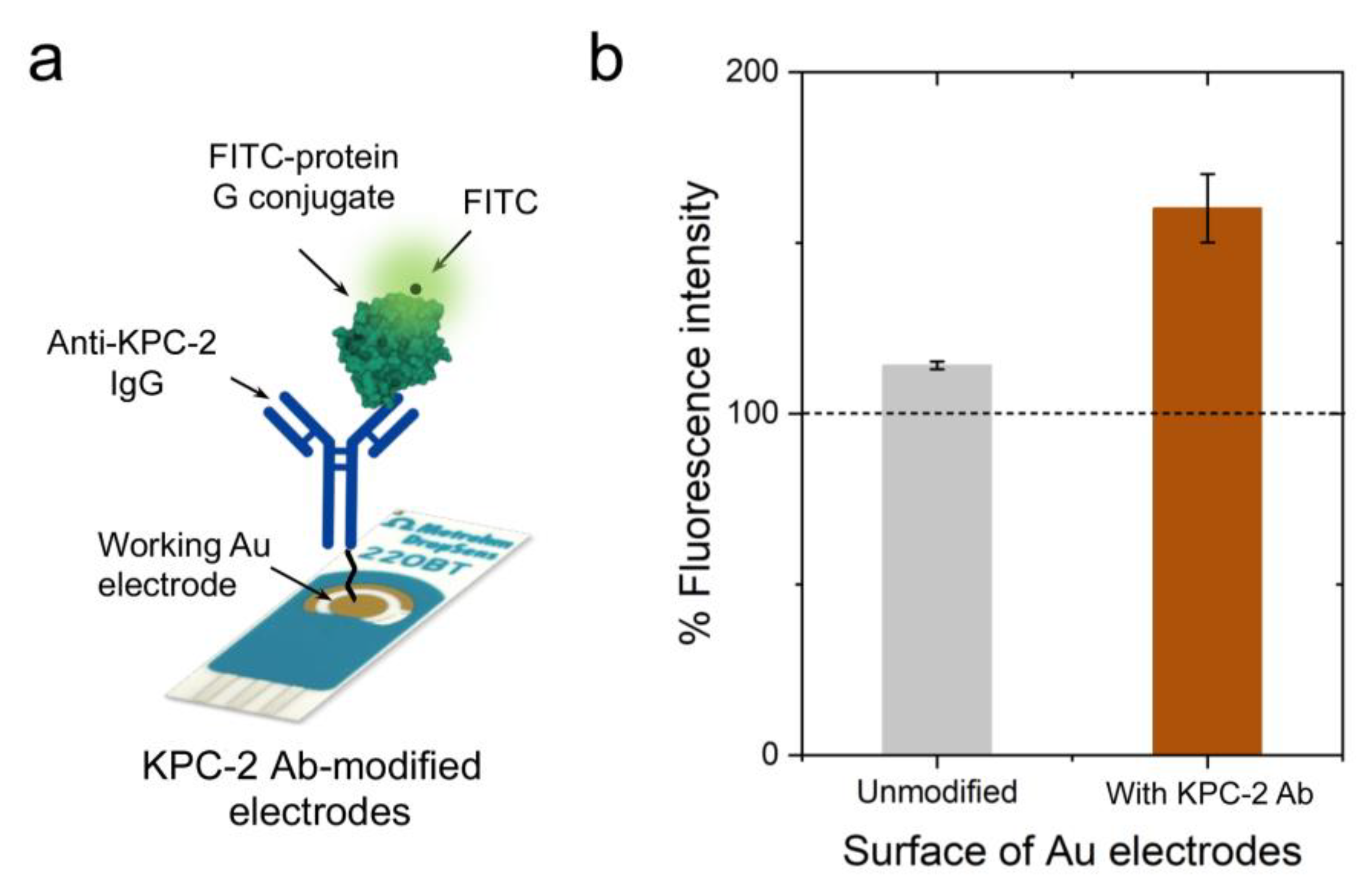 Polymers 15 03316 g003