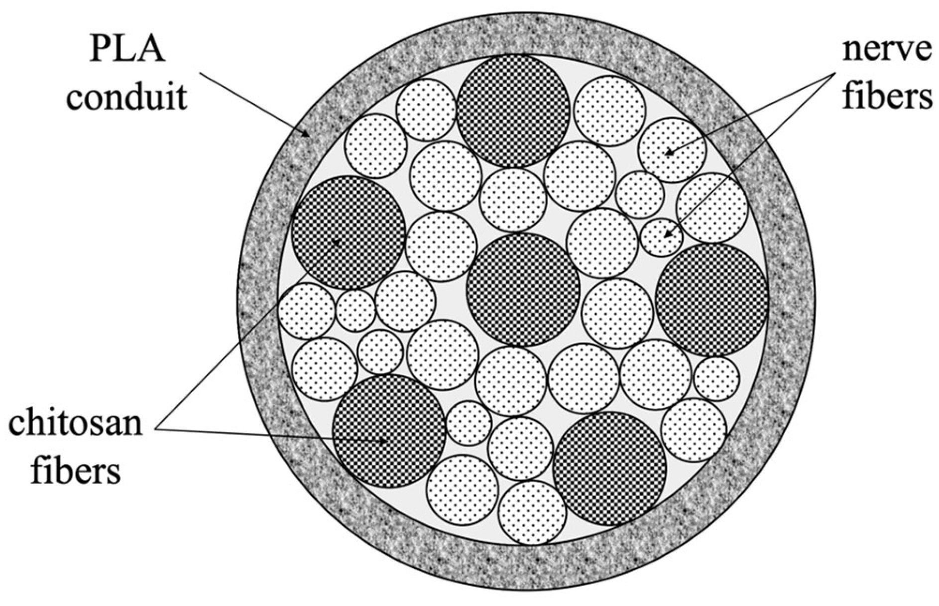 Polymers 15 03323 g002