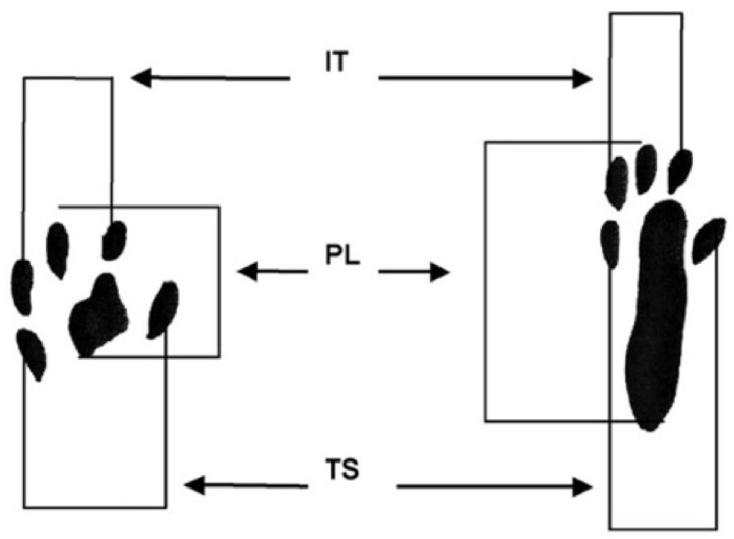 Polymers 15 03323 g005