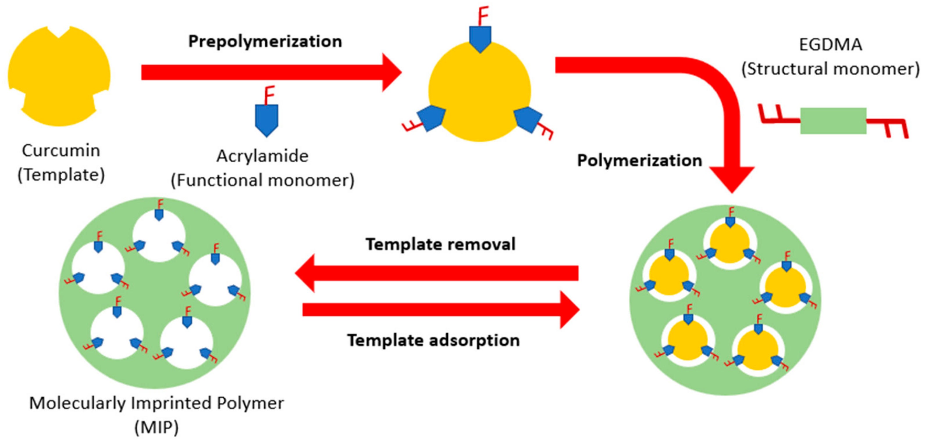 Polymers 15 03332 g001